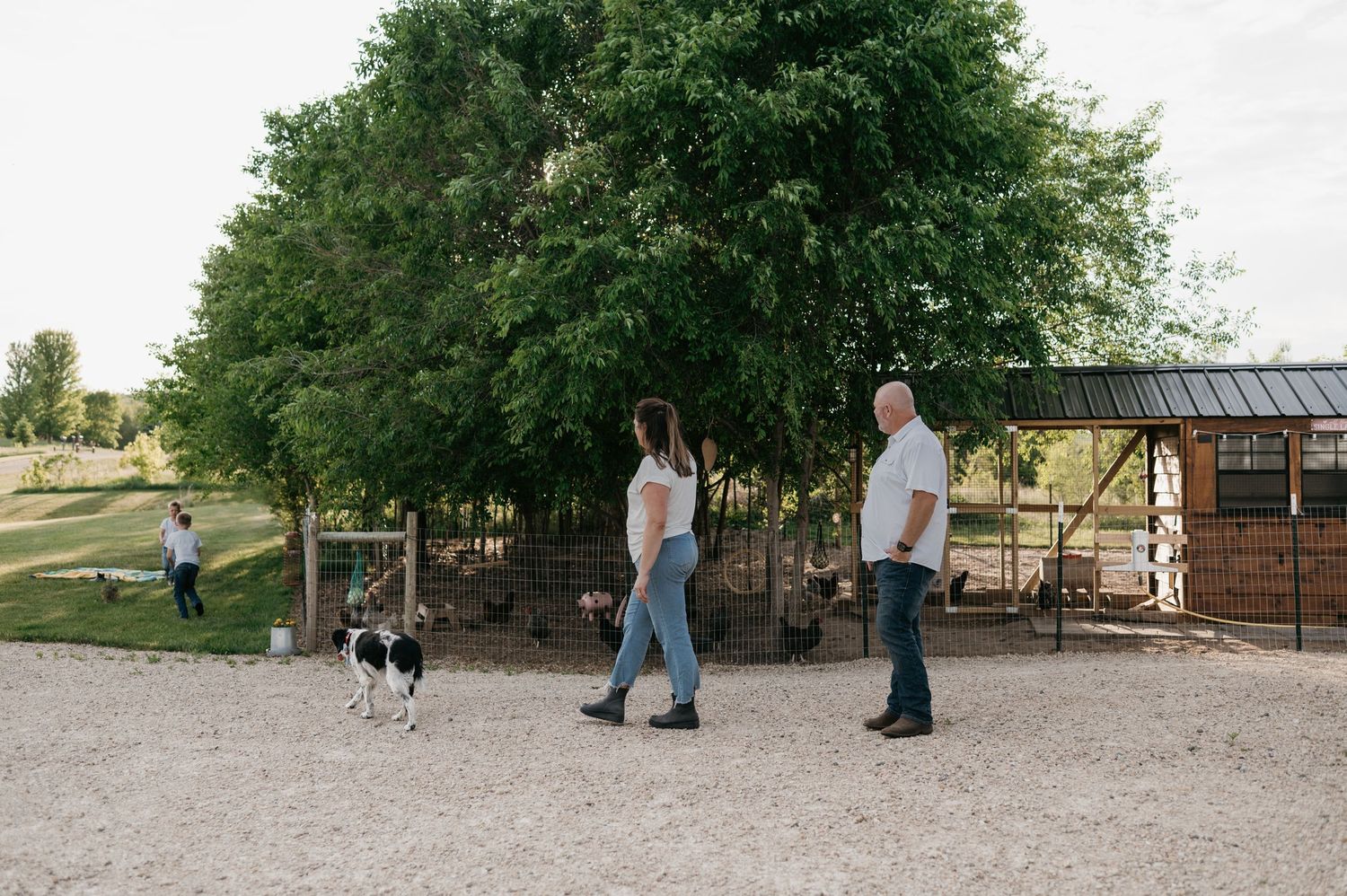 Couple walking with spotted dog on gravel path near farm buildings and large green tree. Home Wisconsin.