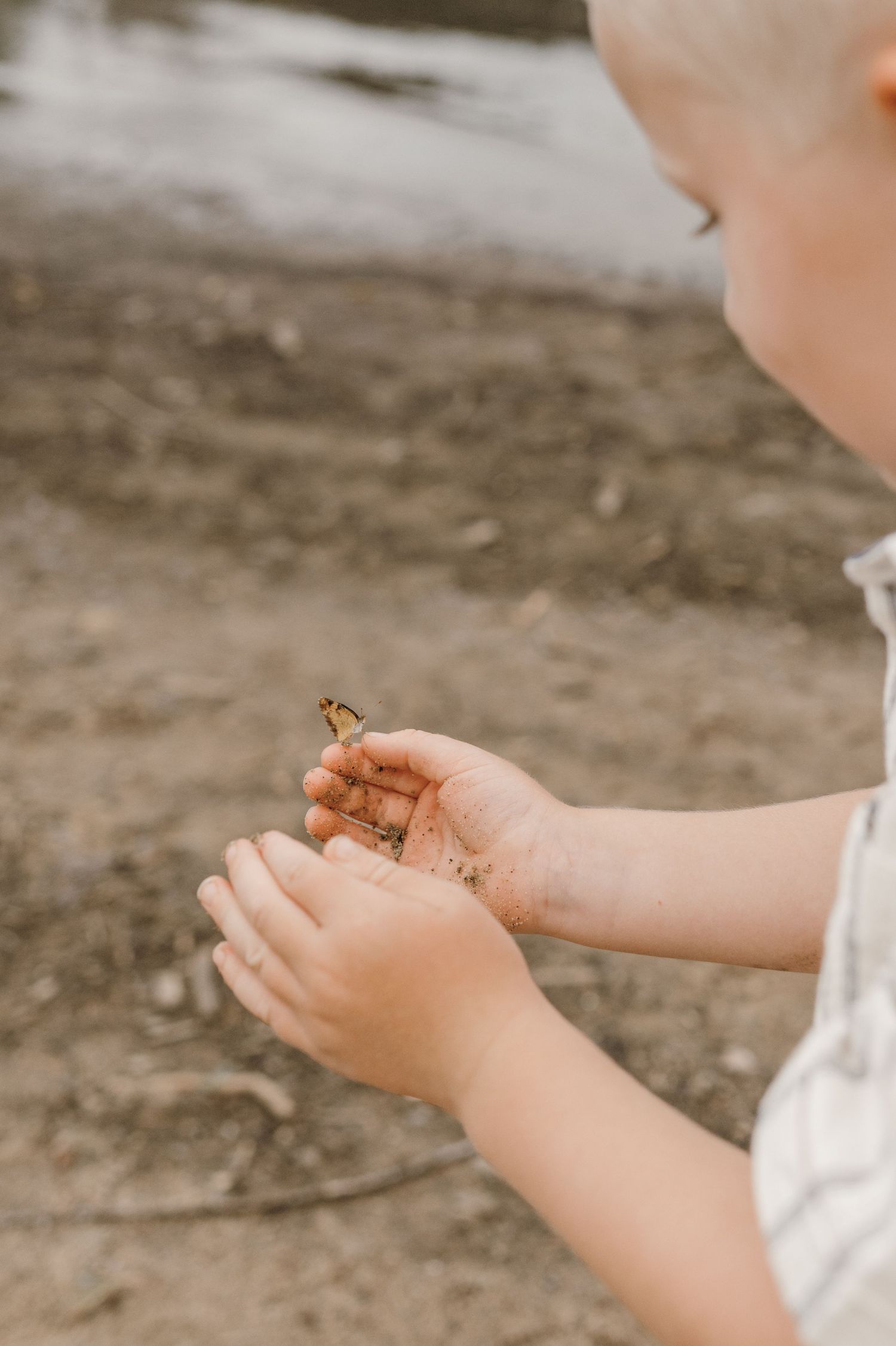 A young child holds a small butterfly in sandy hands outdoors.