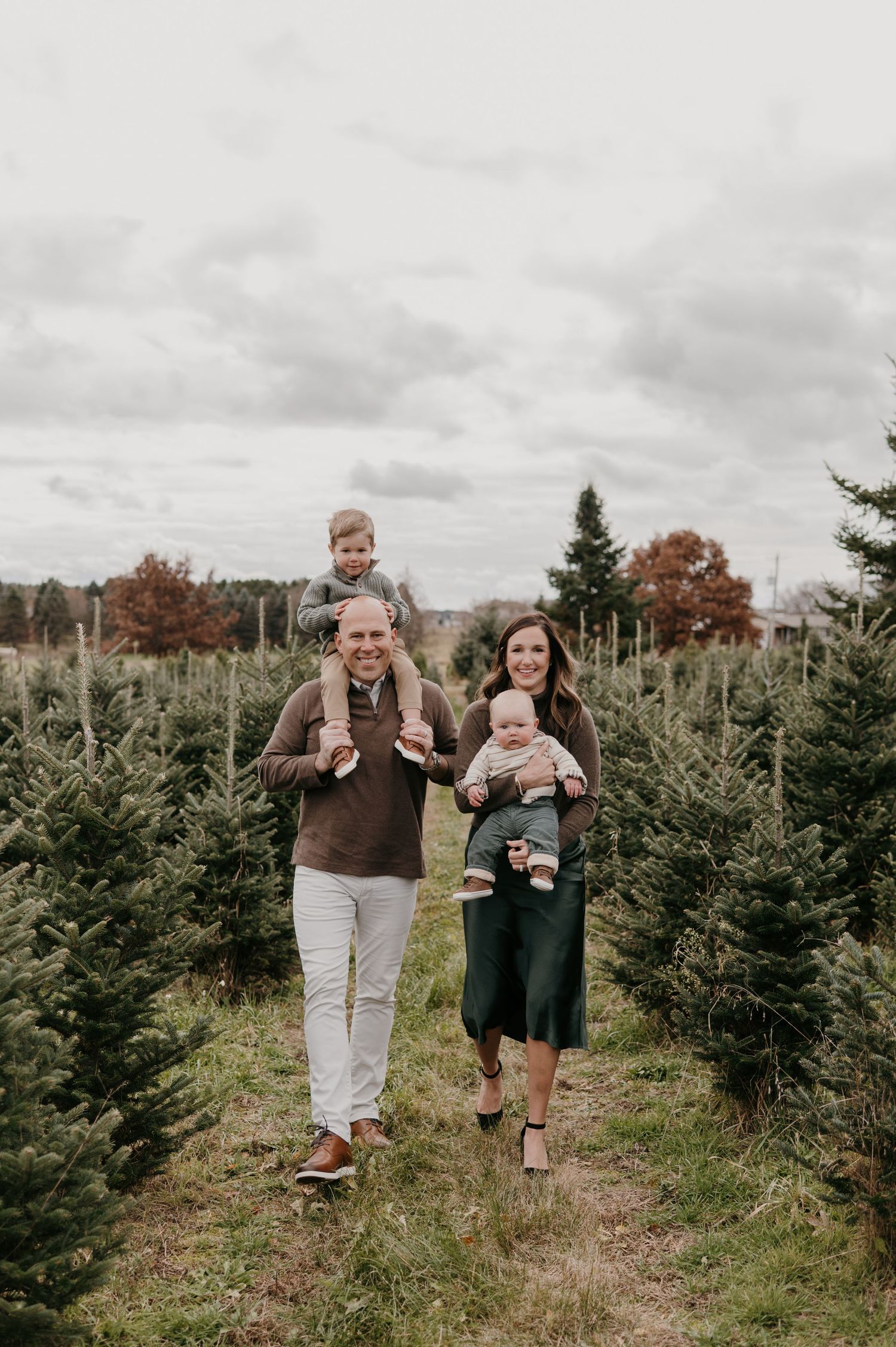 Happy family of four walking through Christmas tree farm, dad carrying toddler on shoulders. Lake Elmo, Minnesota.