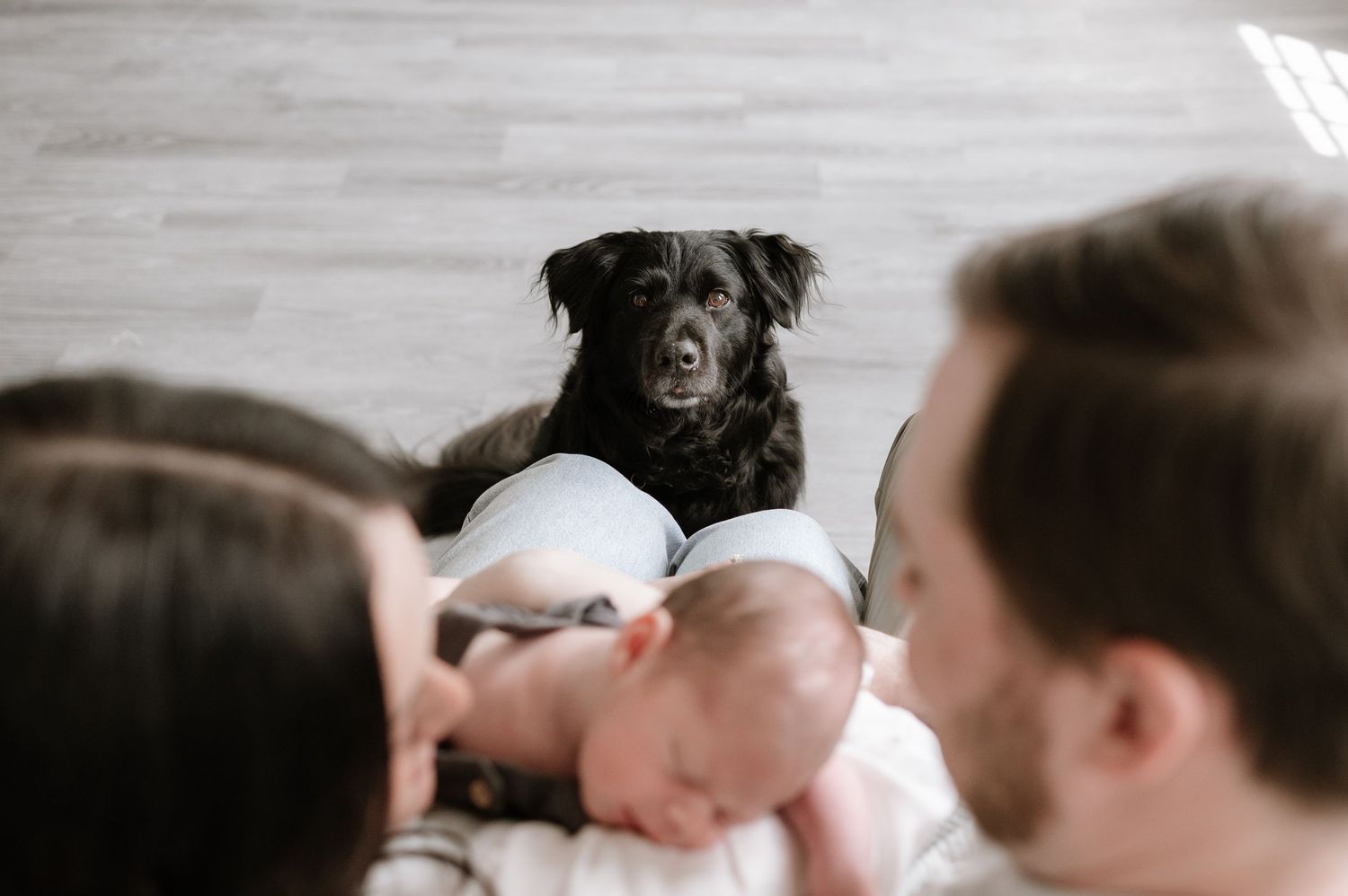 New parents with newborn baby lying on floor as black dog watches curiously nearby.