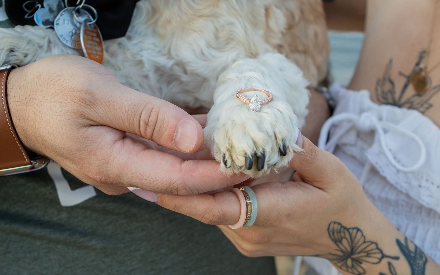 Close-up of hands holding a dog's paw wearing a diamond engagement ring, next to a tattooed forearm.