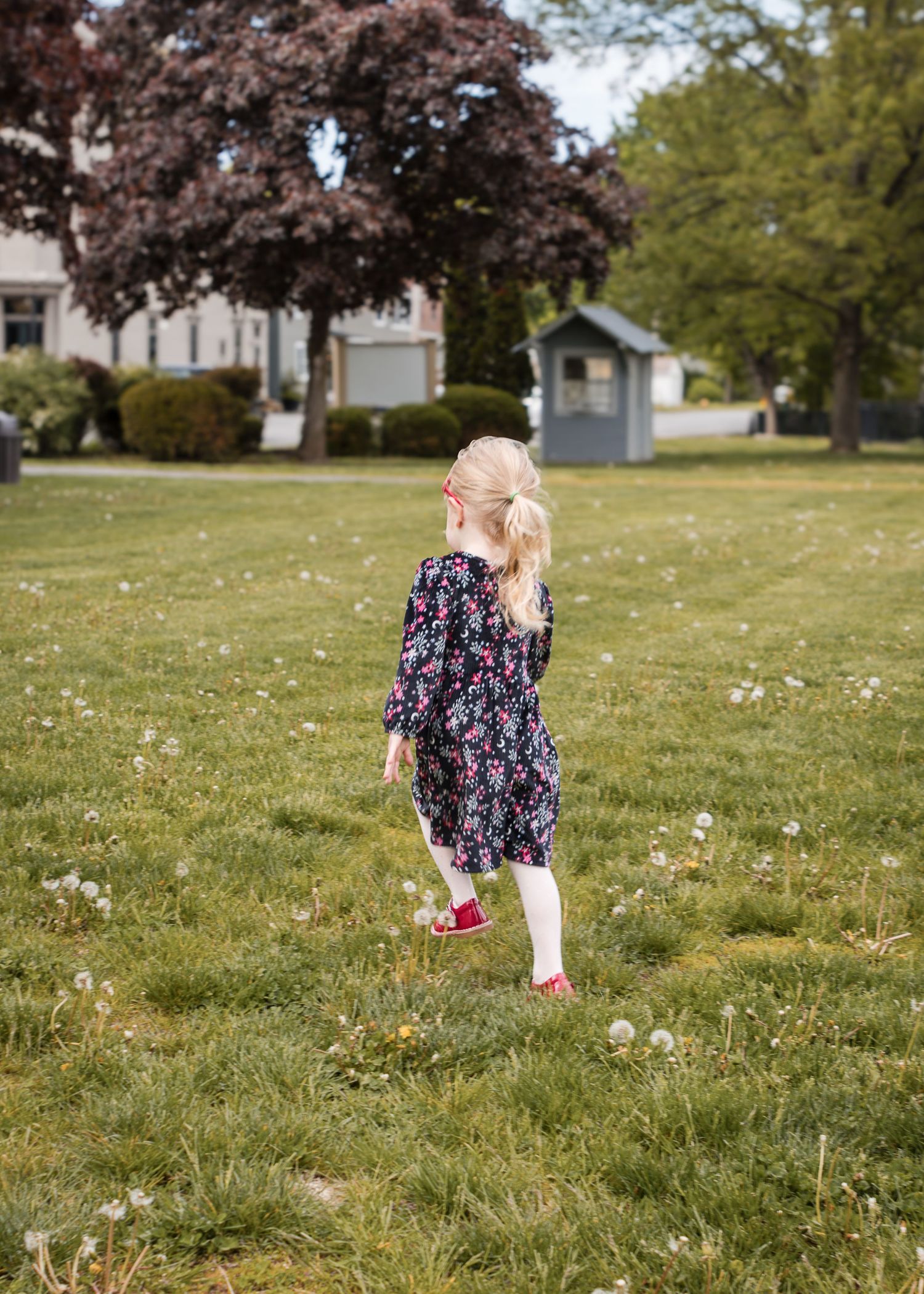 A little blonde girl in a floral dress and red shoes runs across a grassy lawn dotted with dandelions.