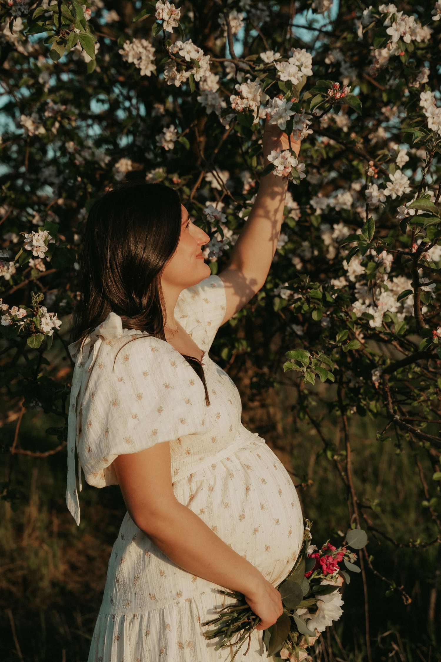 Pregnant woman in white floral dress touching blossoming apple tree flowers in golden hour sunlight.