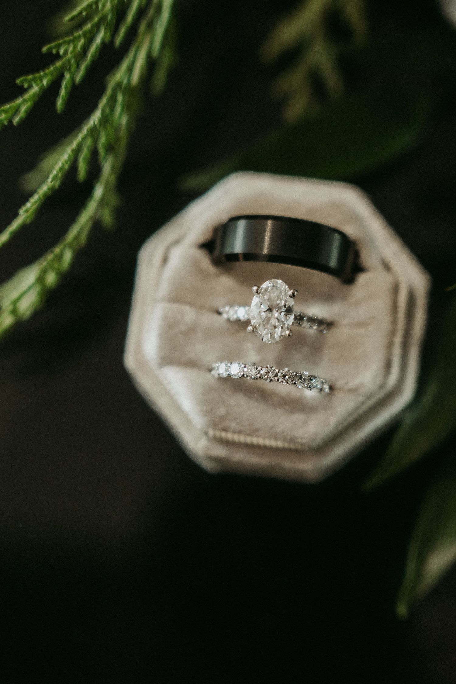 A sparkling diamond engagement ring photographed in multiple angles against dark green evergreen branches.