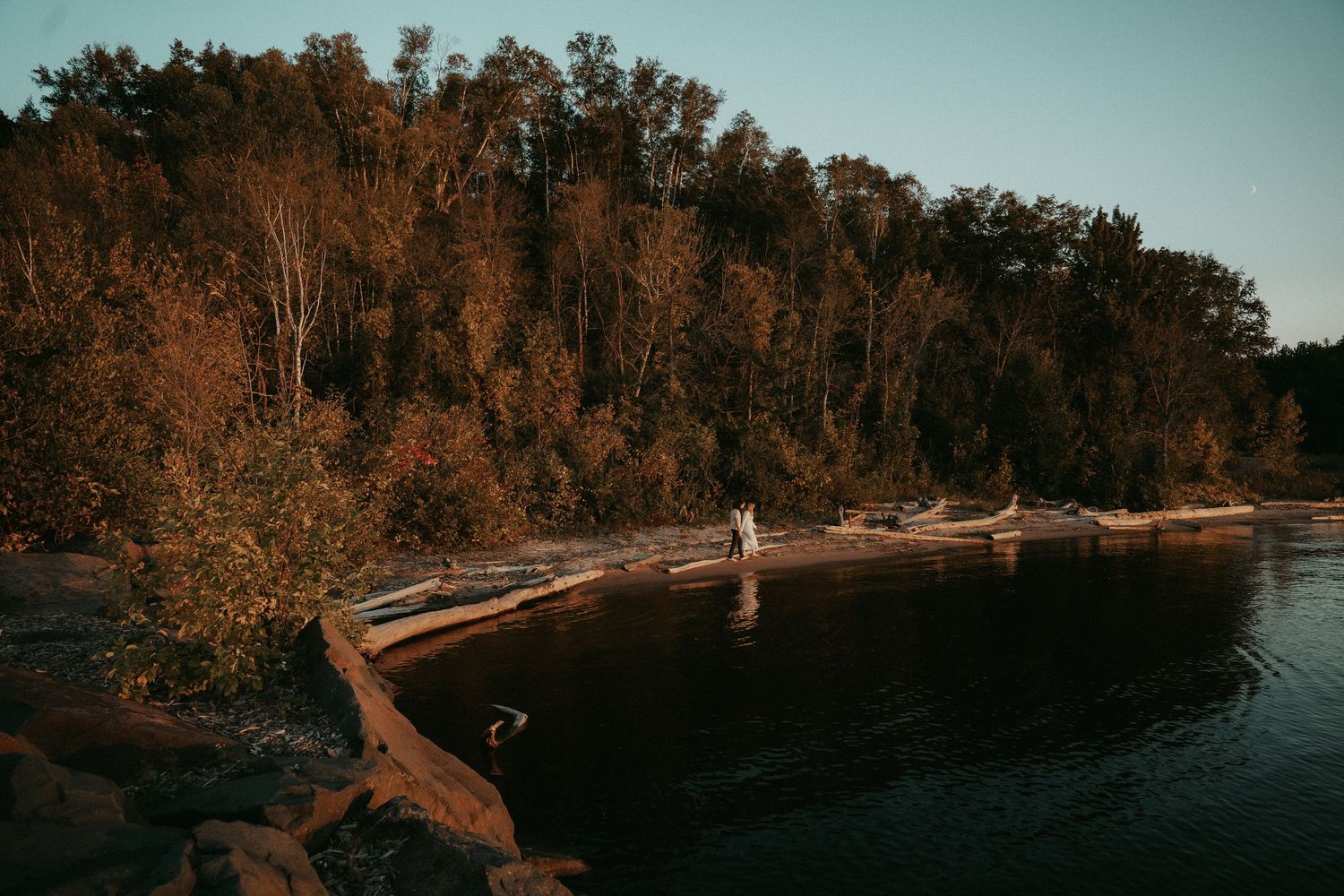Scenic lake shore panorama with autumn trees and fallen logs reflecting in calm water at sunset.