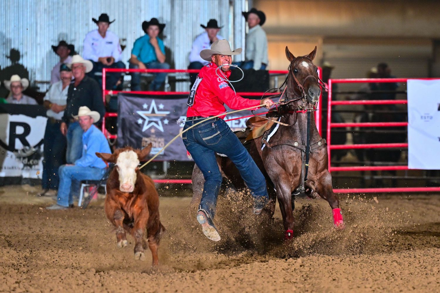 Cowgirl in pink shirt competes in calf roping event at indoor rodeo arena, horse sliding in dirt.