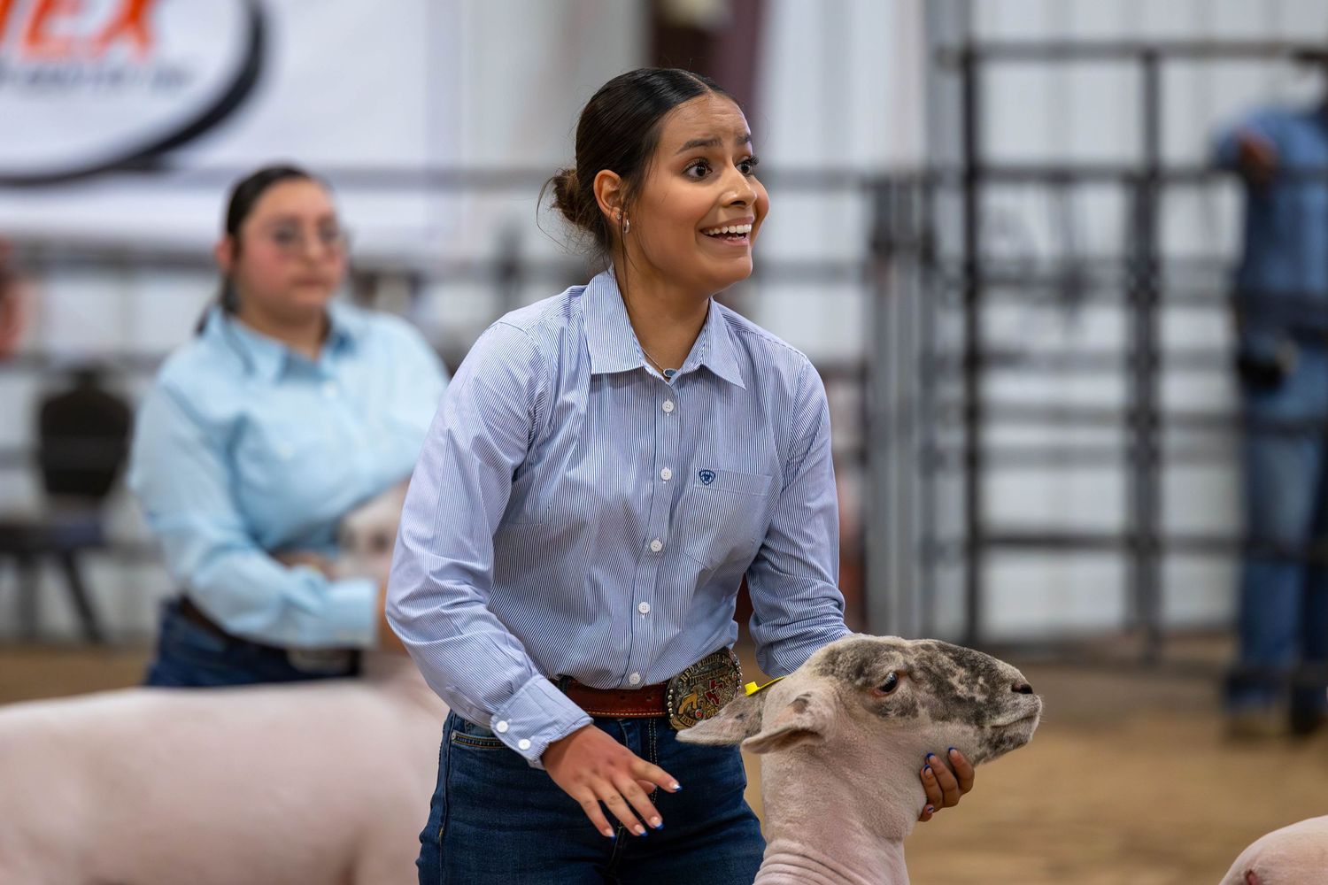 Youth exhibitor showing a show lamb at a livestock competition in an indoor arena.