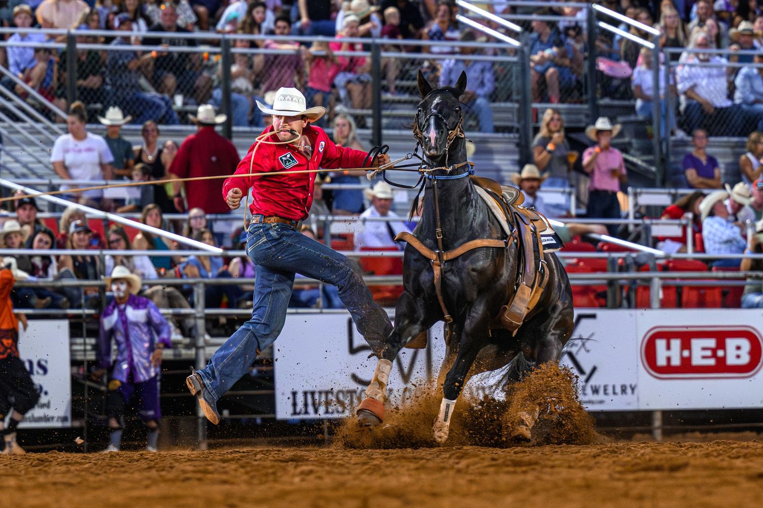 Cowboy in red shirt competes in tie-down roping event at a rodeo arena with H-E-B sponsorship banner.