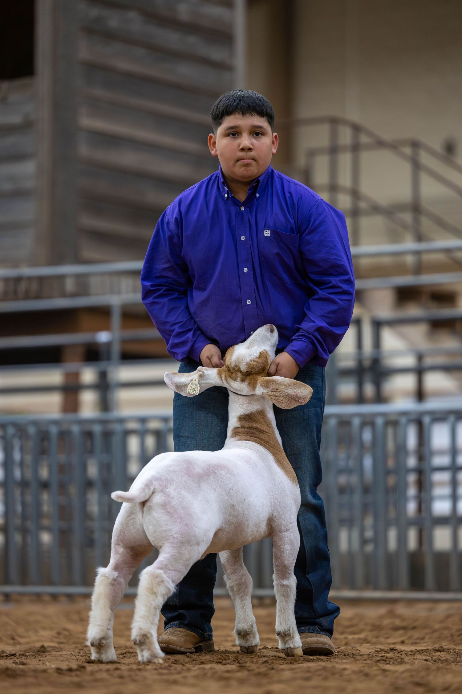 Contestant in purple shirt showing a young white goat in a dirt arena.