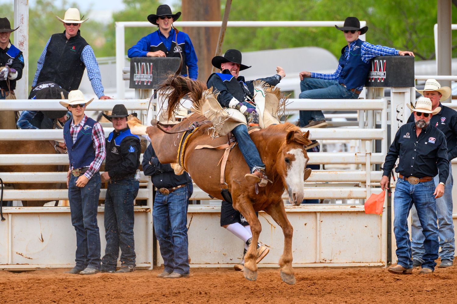 Cowboy rides bucking bronco at outdoor rodeo event with spectators and officials watching from the arena fence.