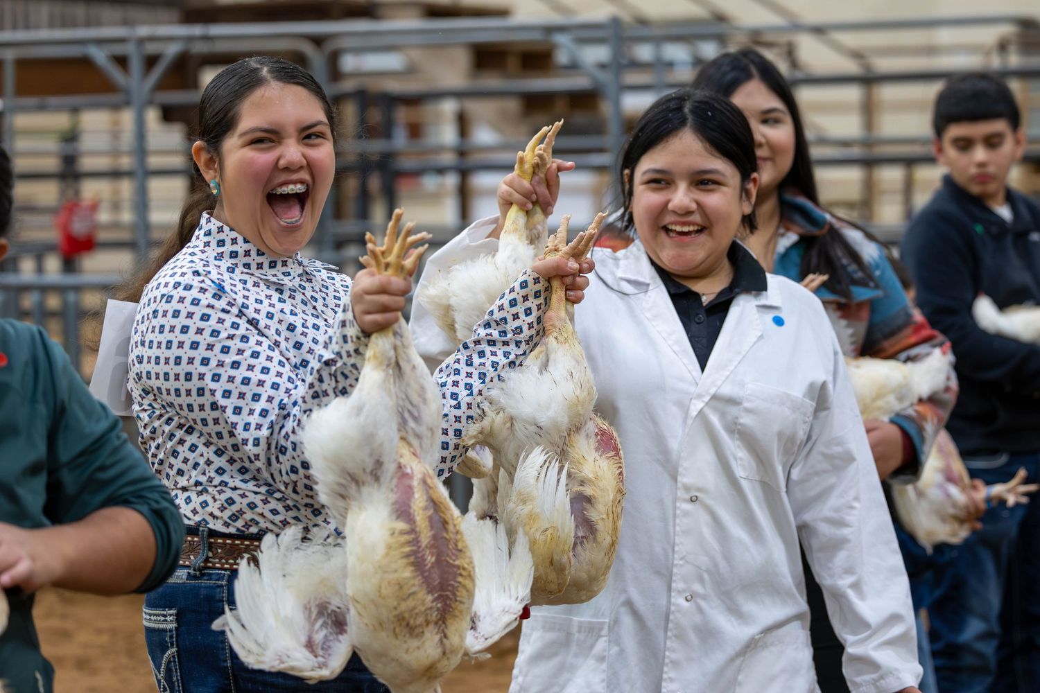 Excited participants holding up white chickens at a livestock competition.