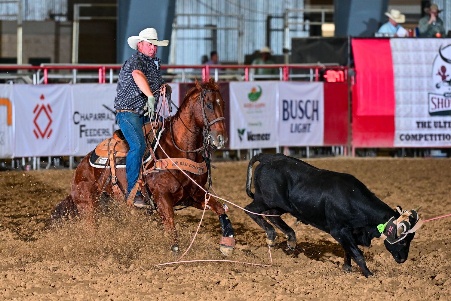 A cowboy on a chestnut horse ropes a black calf at an indoor rodeo competition with sponsors visible in background.