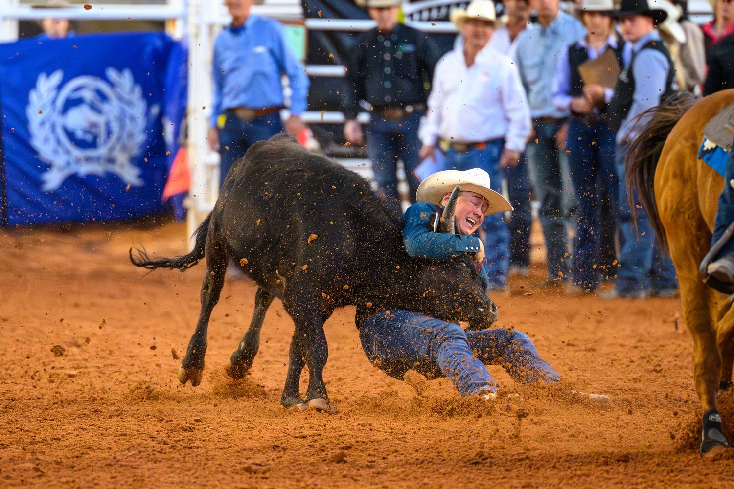 A rodeo cowboy wrestles a black bull to the red dirt ground at an outdoor rodeo event with spectators watching.