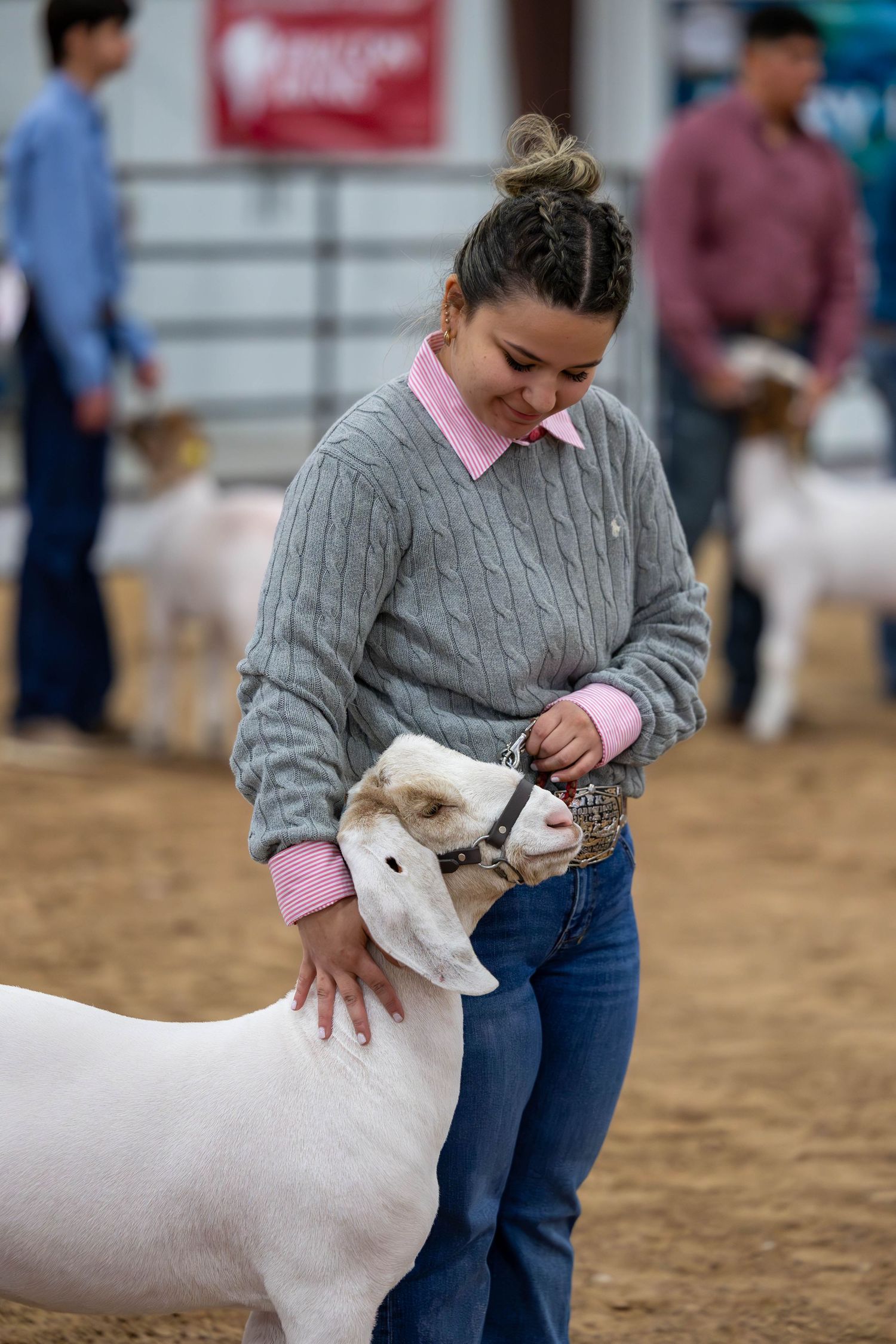 A participant in a livestock show handles a white goat in an indoor arena setting.