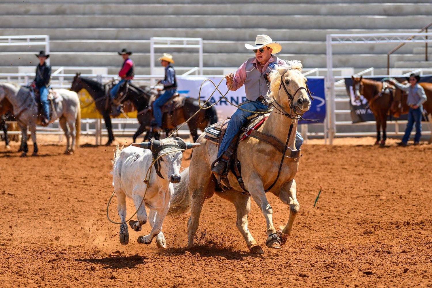 Cowboy on palomino horse roping a calf at a rodeo competition on a red dirt arena.