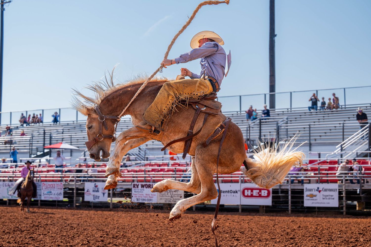 A sequence of action shots showing a cowboy competing in a bronc riding event at a rodeo competition.