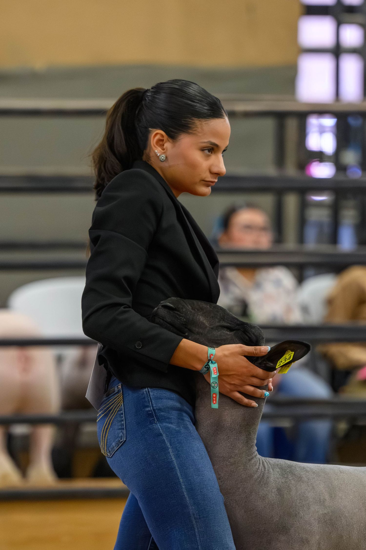 Young woman in black blazer and jeans showing a goat at a livestock competition indoors.