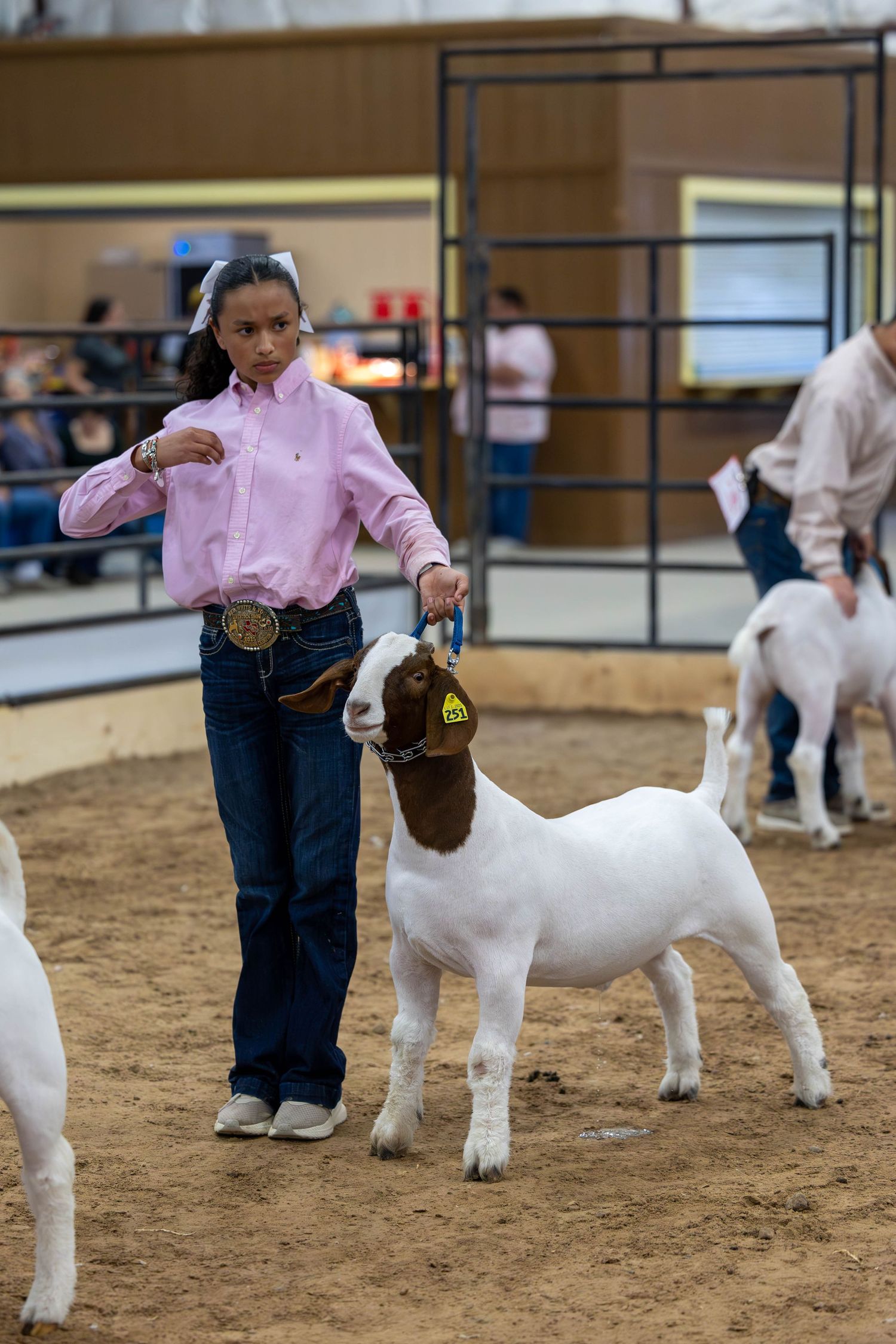 Youth livestock handler in pink shirt shows white Boer goat at agricultural fair competition in sandy arena.