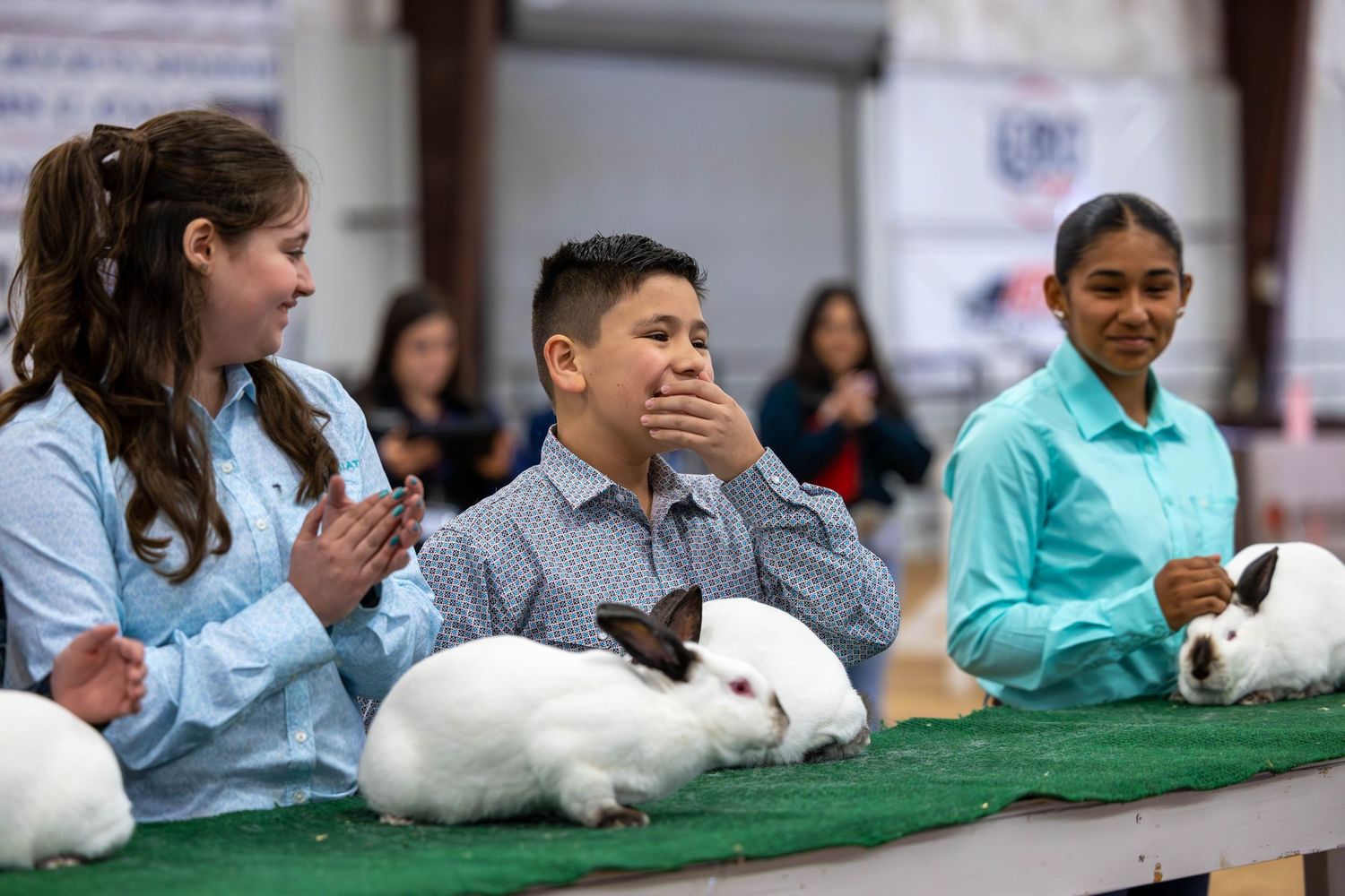 Young competitors presenting white rabbits for judging at a youth livestock show.