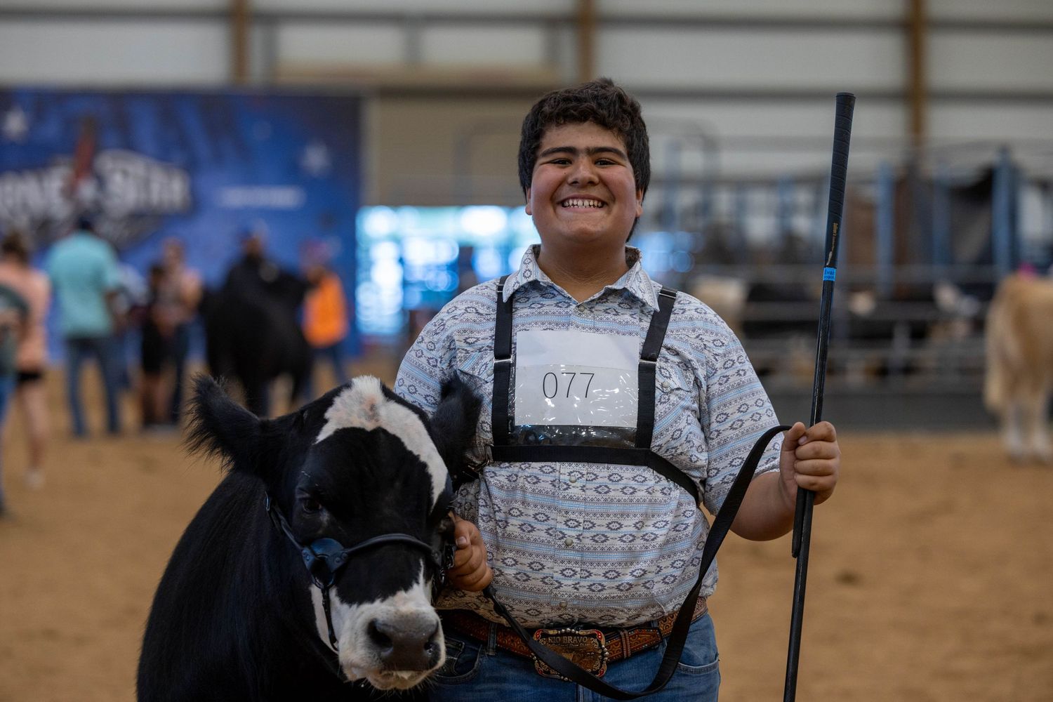 Student shows black and white steer at indoor livestock show