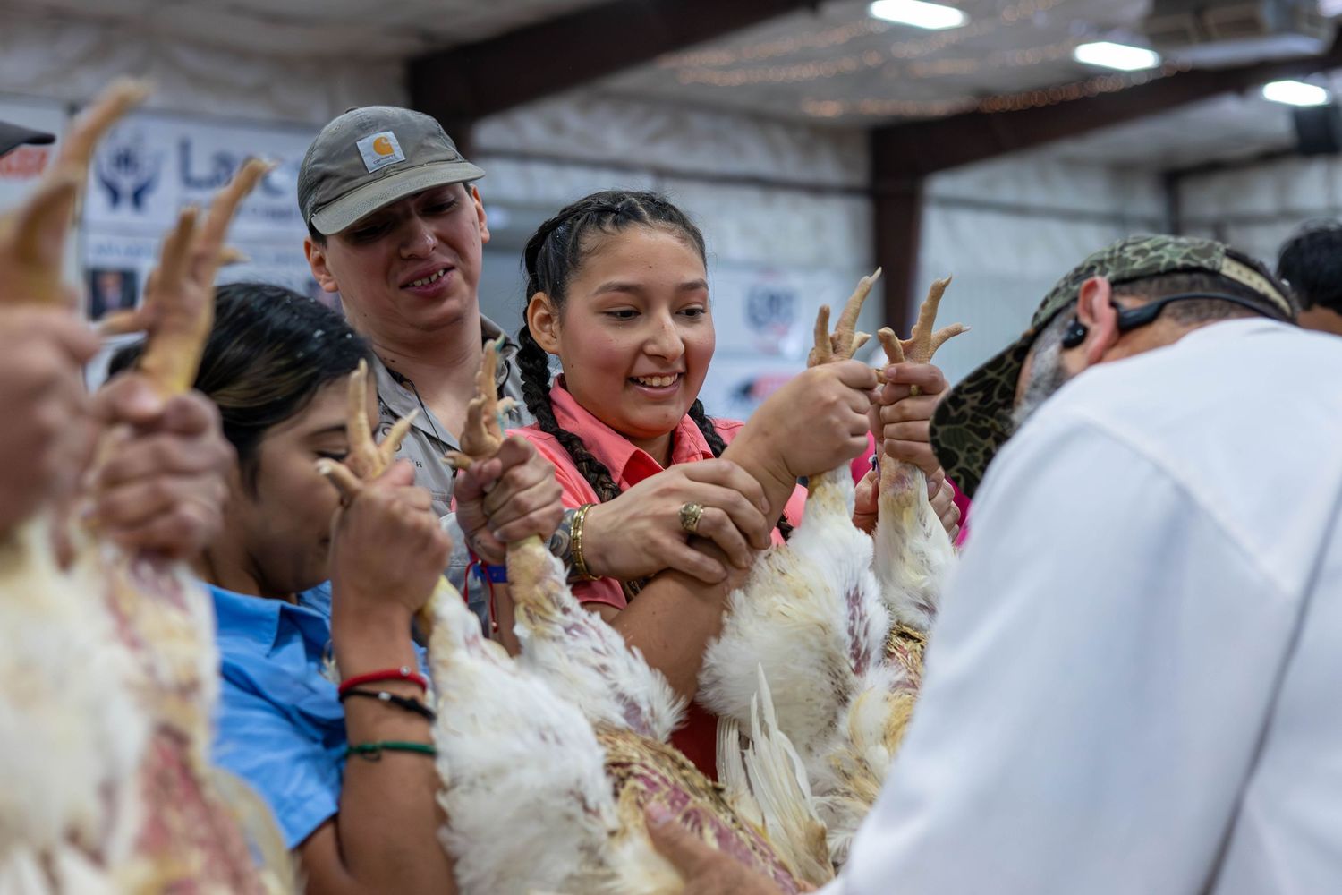 Group of participants examining and handling chickens at a livestock show.