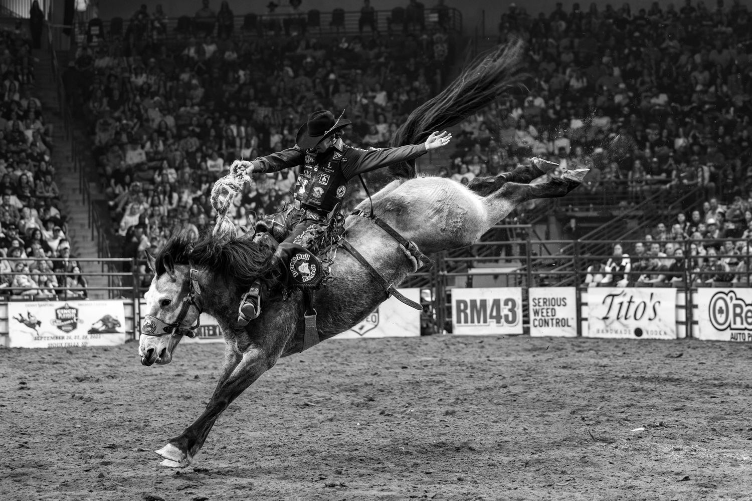 Black and white photo of a cowboy riding a bucking bronco at a rodeo arena filled with spectators.