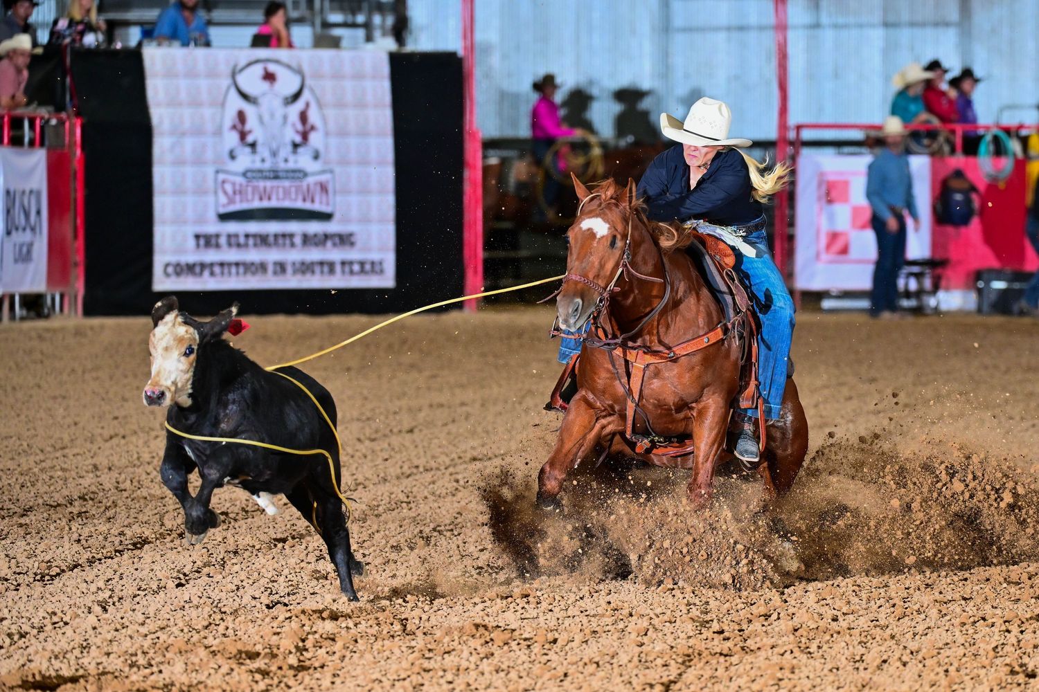 Cowboy on horseback roping a black calf at a South Texas rodeo competition in a dirt arena.