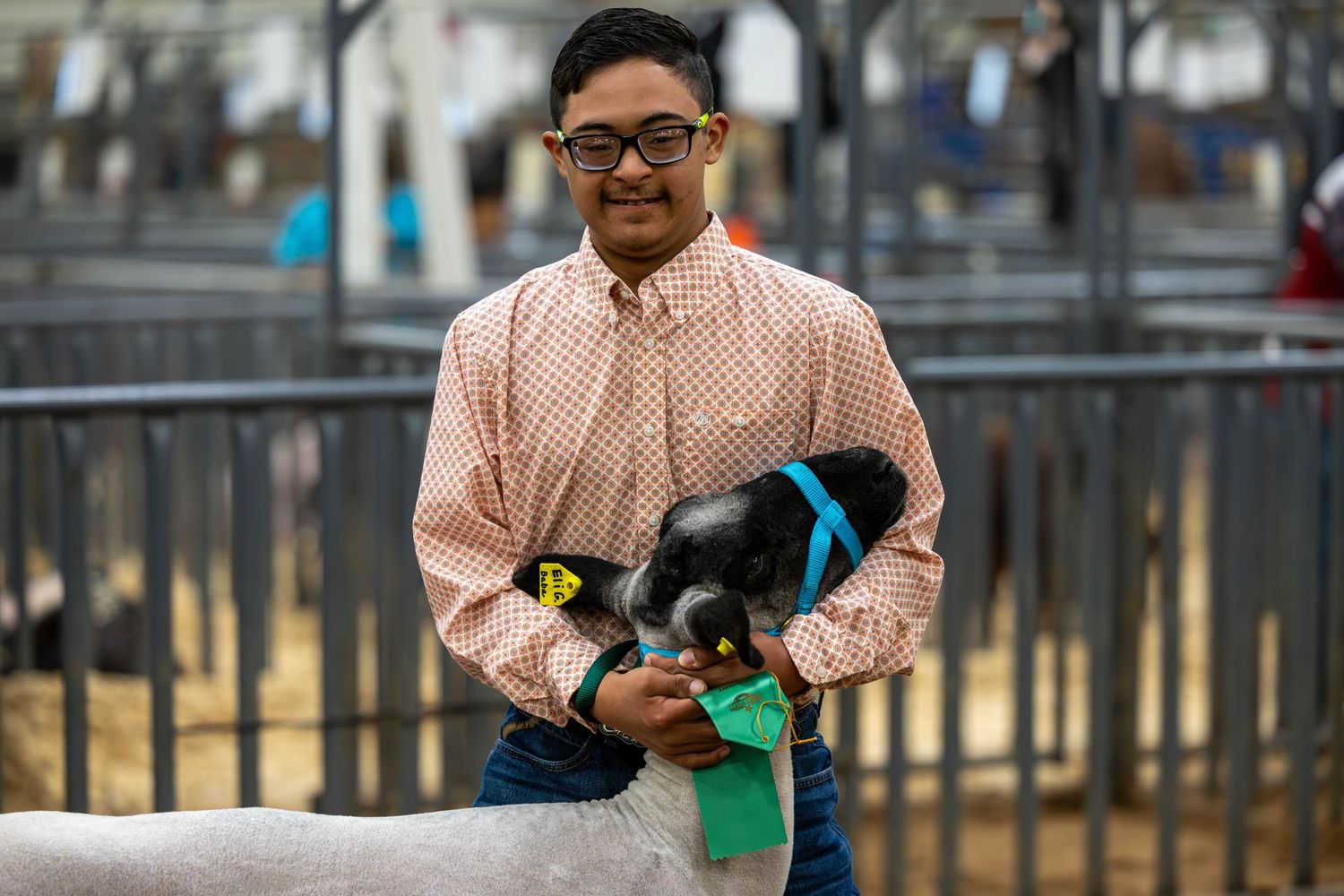 Exhibitor in pink shirt holding a lamb at a livestock show.