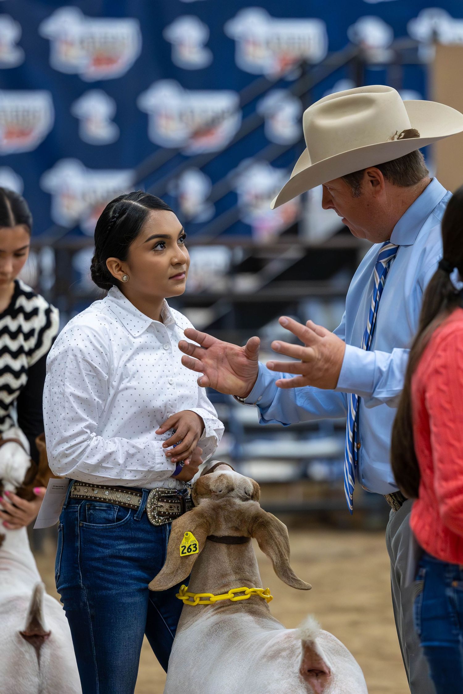 A judge provides feedback to a competitor during a livestock show event.