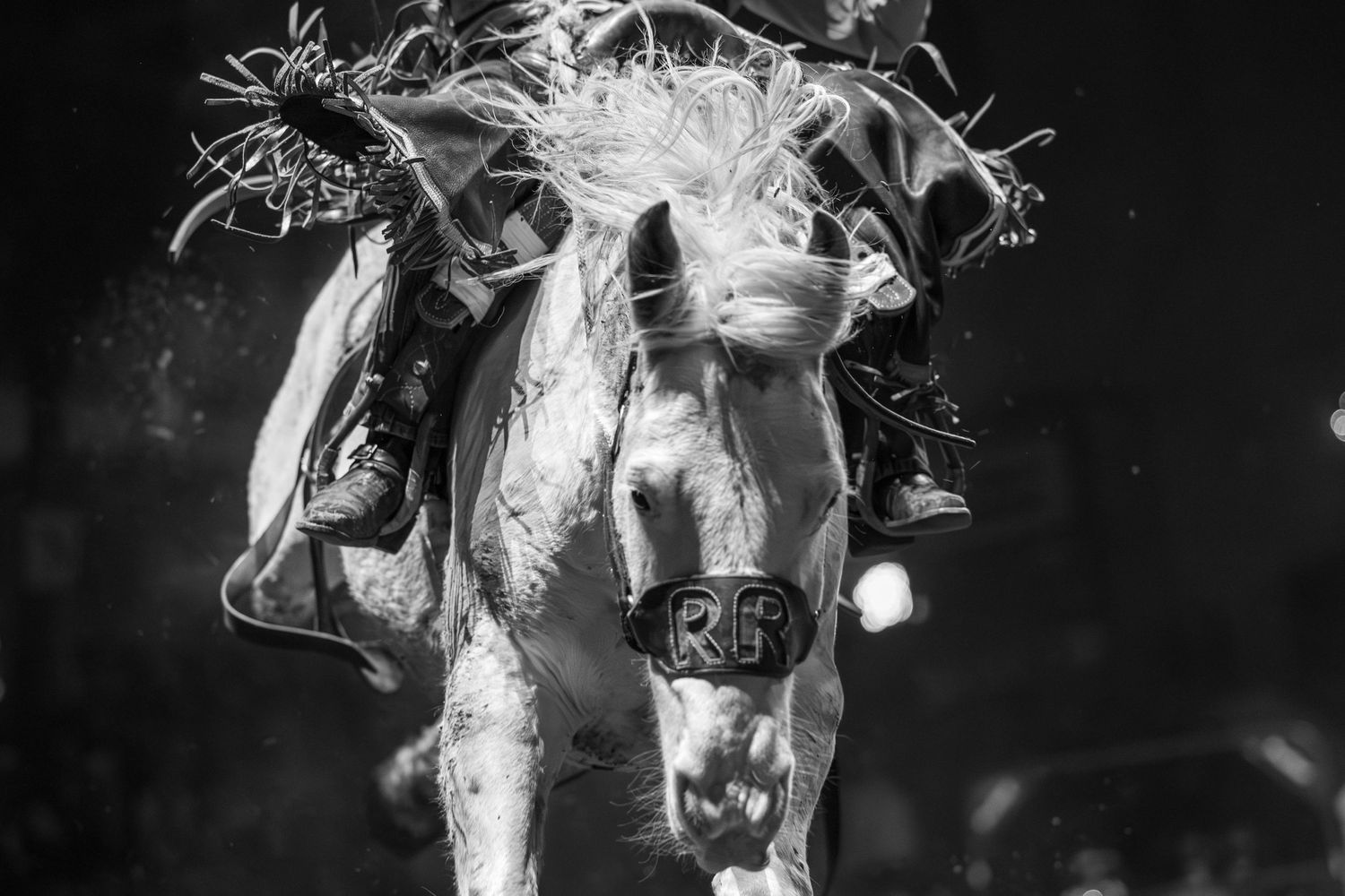 Black and white artistic photograph of a horse with flowing mane.