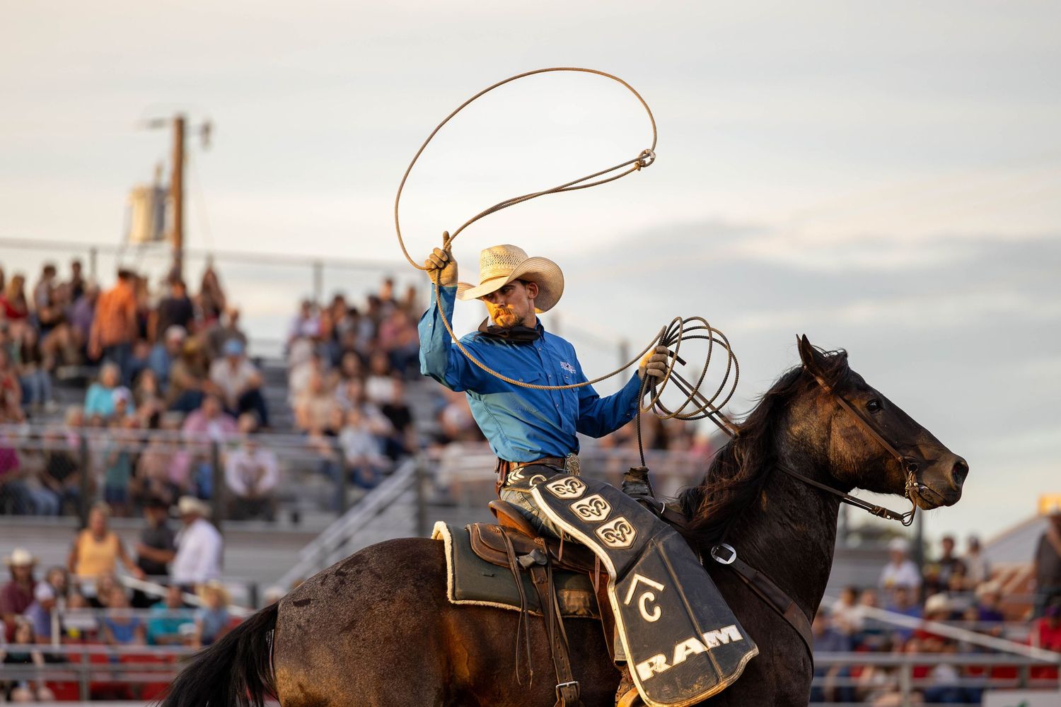 Cowboy performs a skilled roping move while riding a chestnut horse in a rodeo arena at sunset.