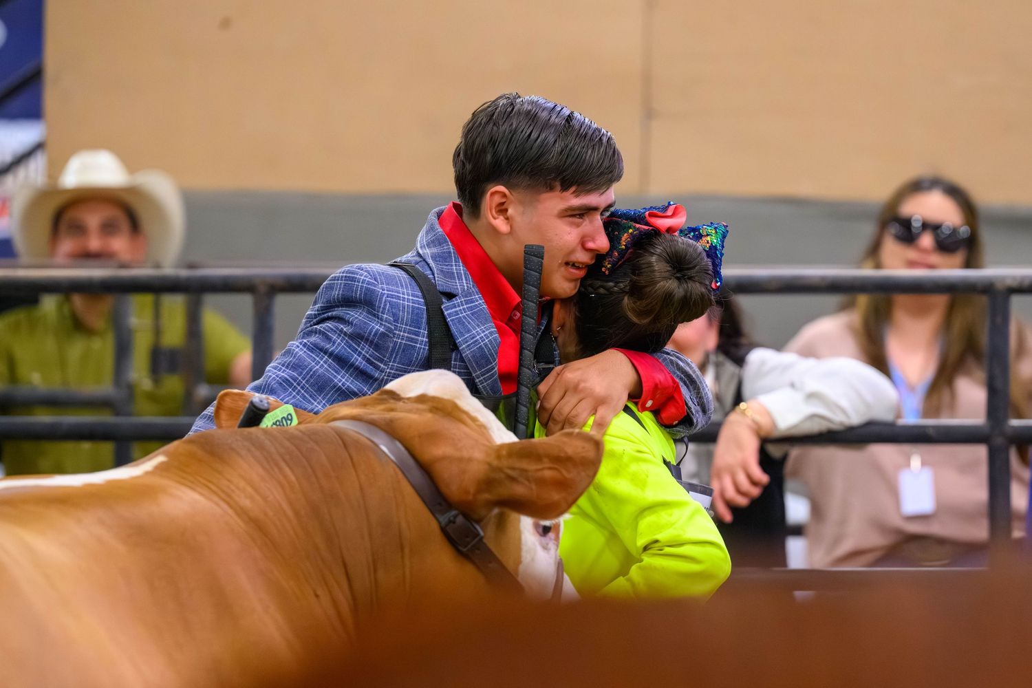 A young man in a blue jacket hugs a brown cow at a rodeo event, with spectators watching in the background.