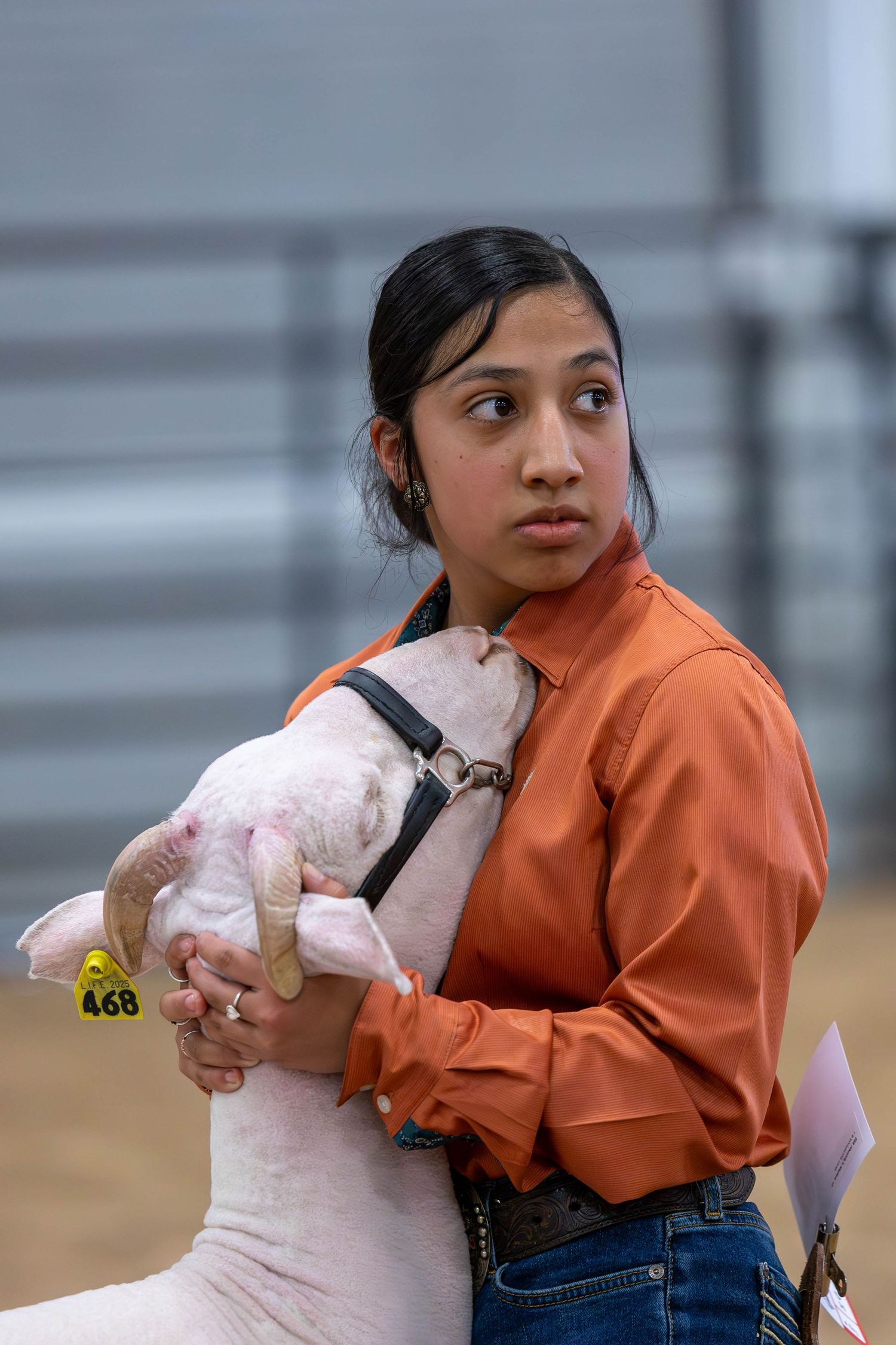 A competitor holds their show lamb during a livestock competition event.