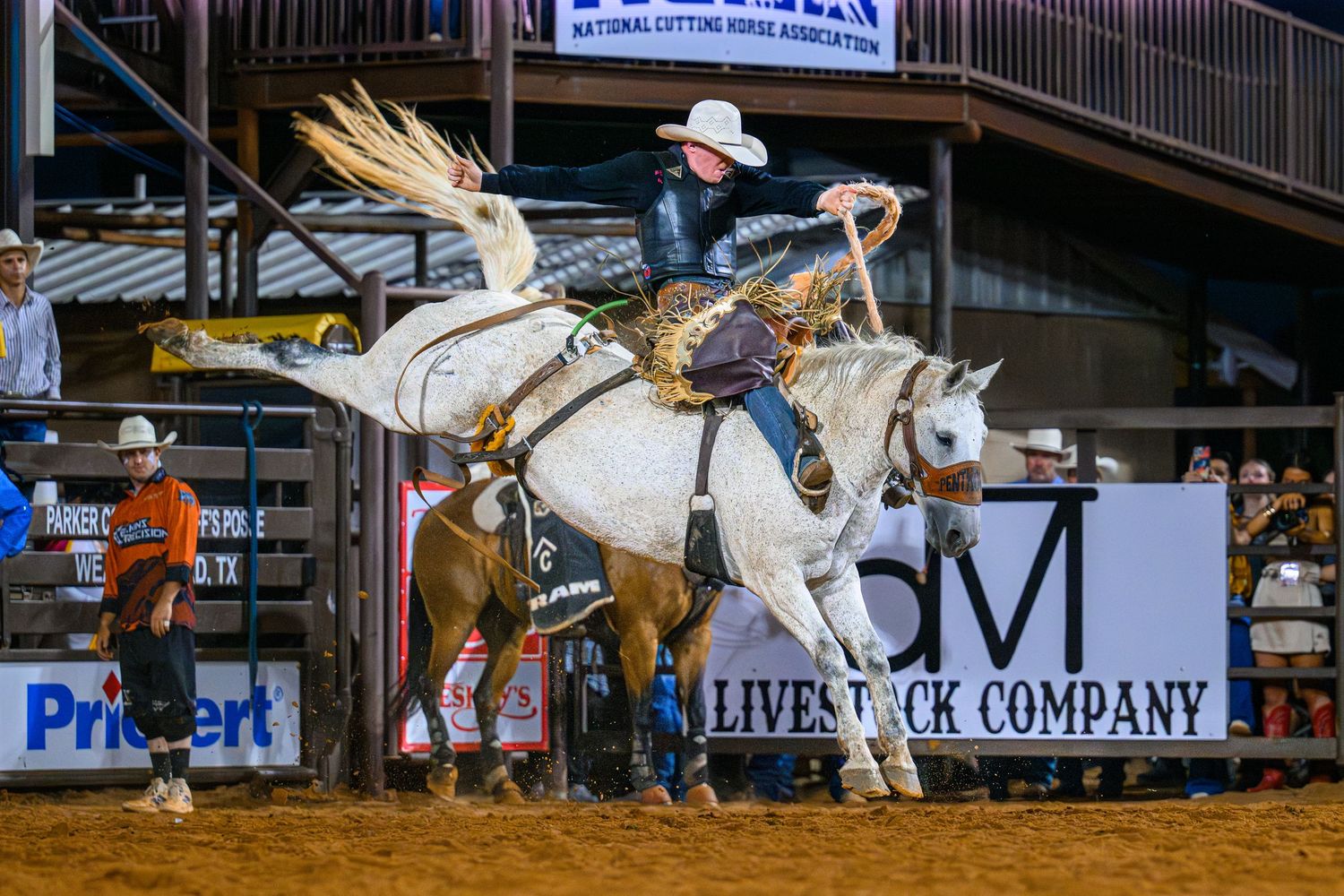 Cowboy riding a bucking white horse at a rodeo event inside an arena with sponsor banners visible.