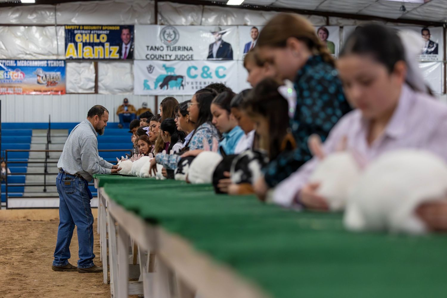 Row of participants showing rabbits on green tables at a youth livestock competition.
