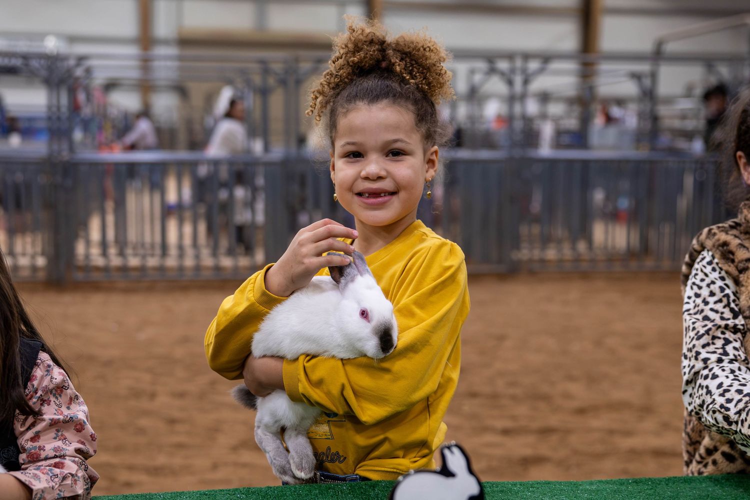 Youth participant in yellow shirt holding a small white rabbit at a livestock show.