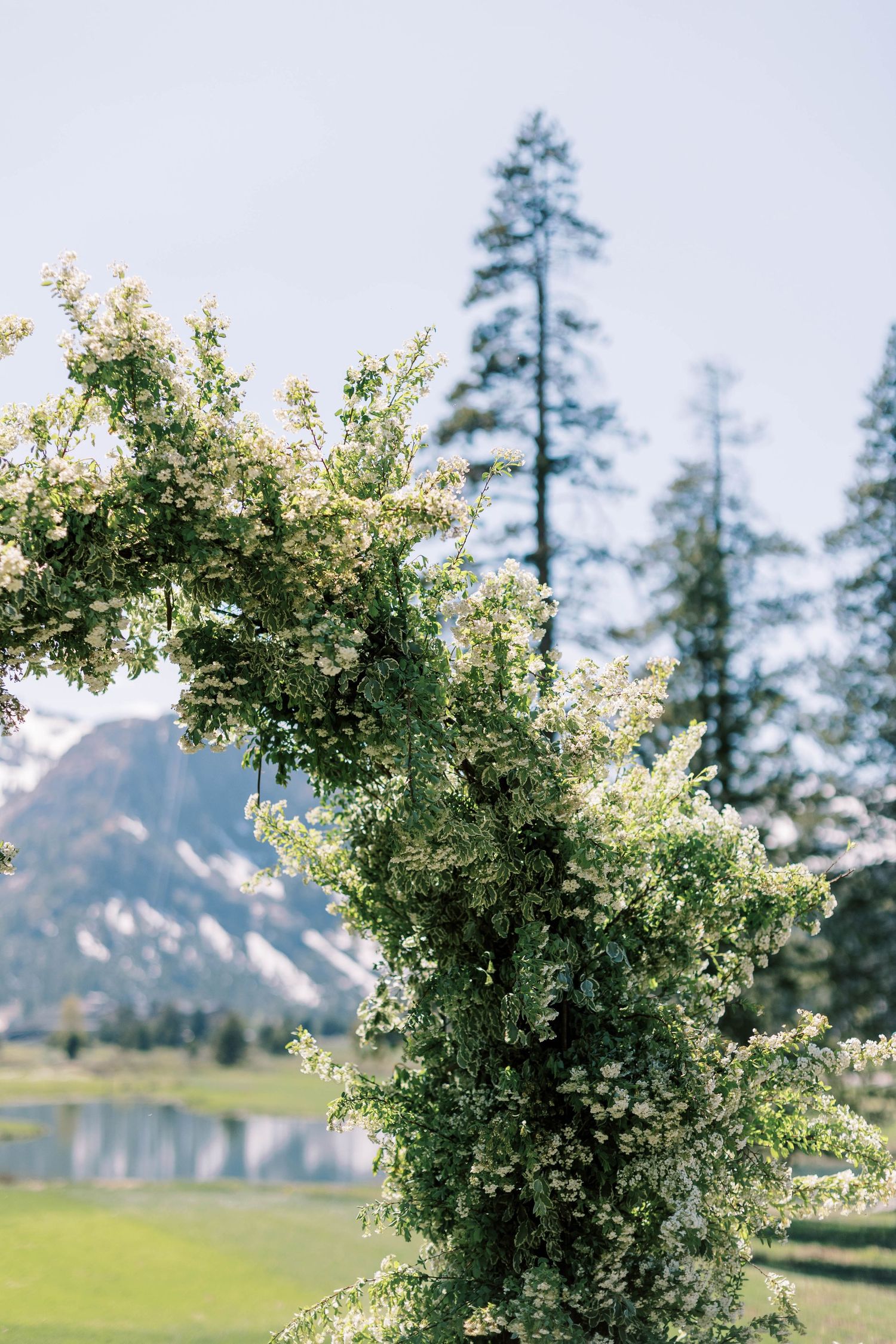 Floral arch with white blooms frames mountain landscape at outdoor wedding venue.