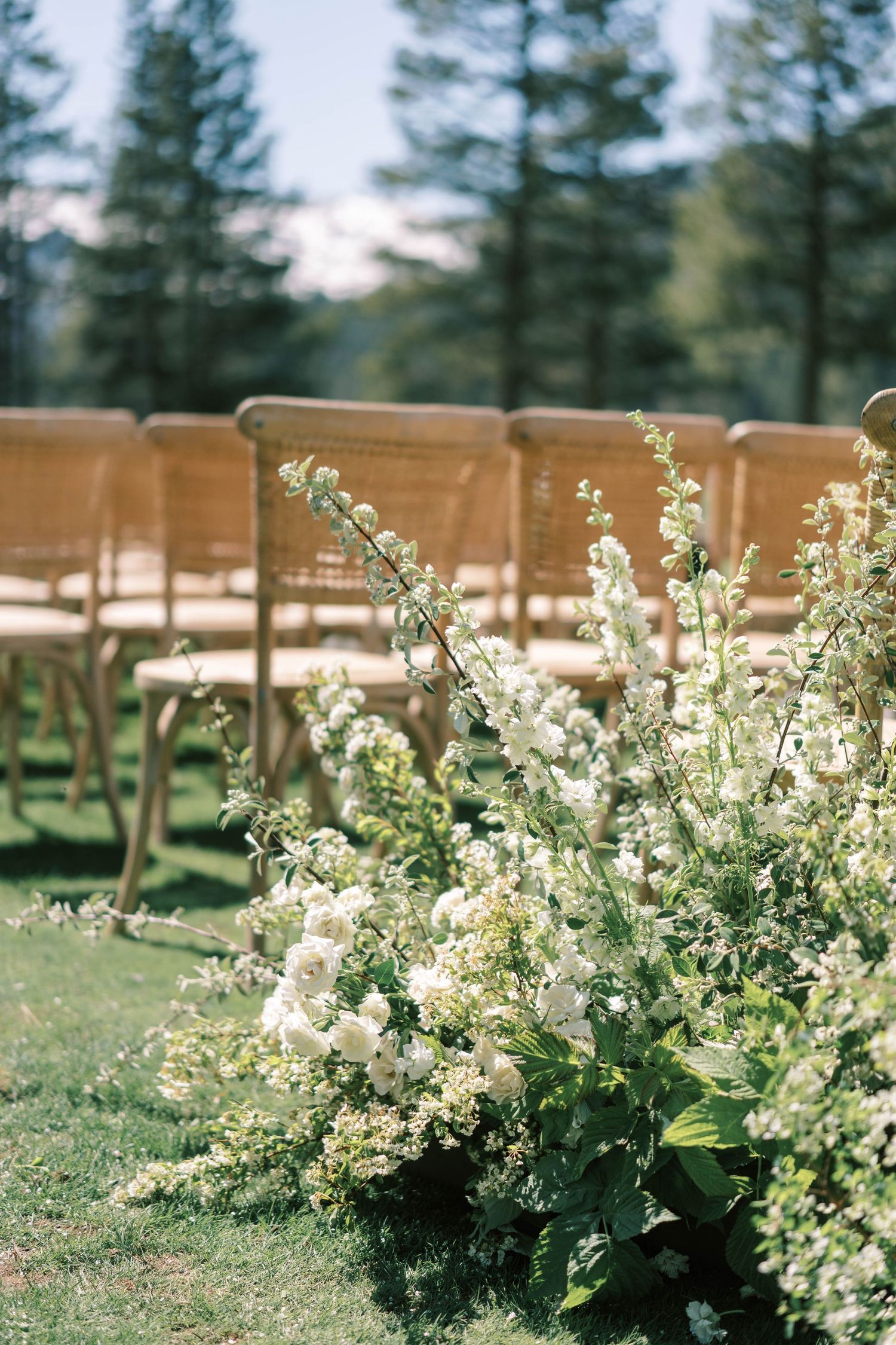 White delphinium flowers line a rustic outdoor ceremony aisle with wooden benches and evergreen trees in the background.