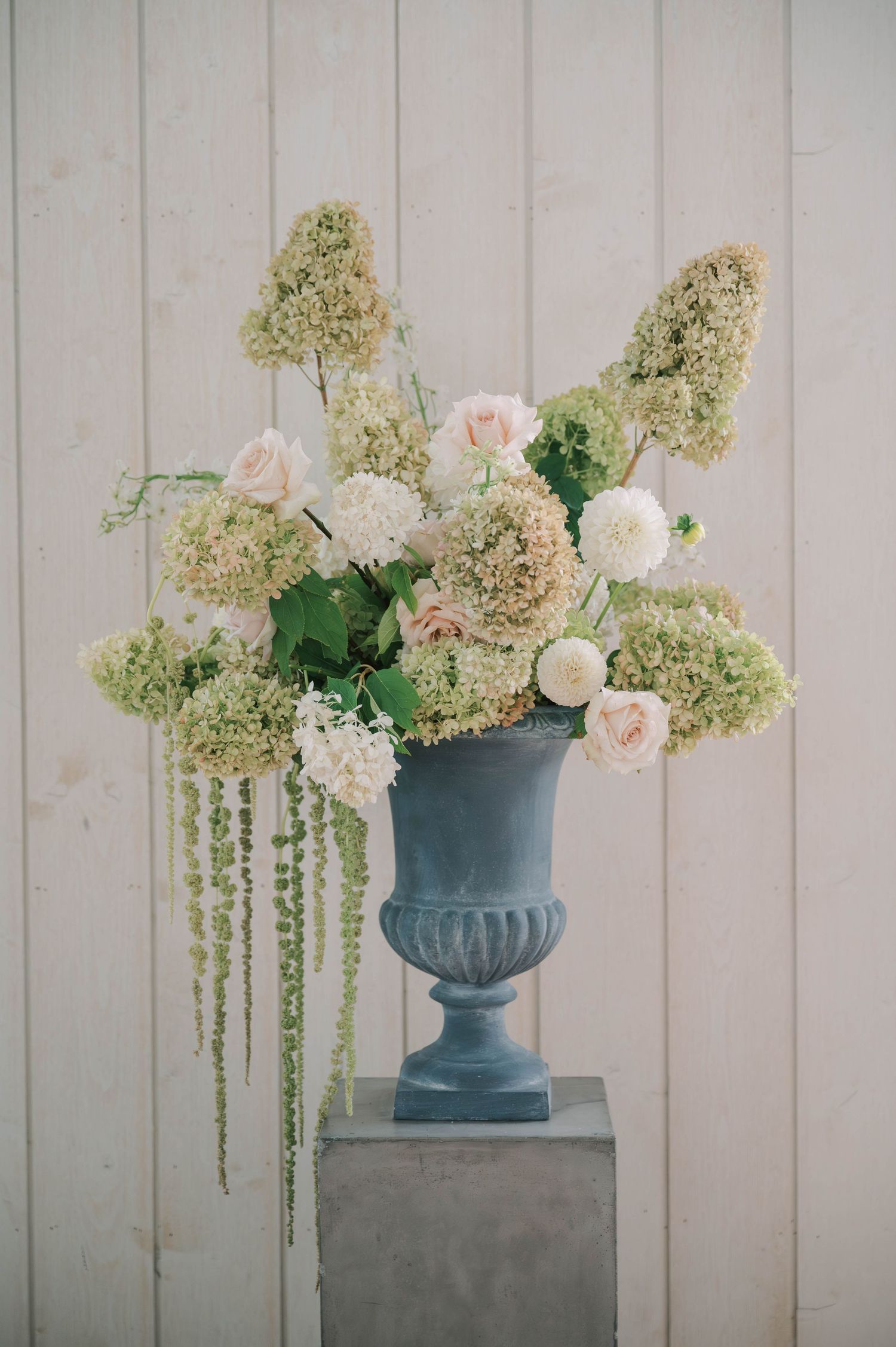 Elegant floral arrangement with white hydrangeas and amaranthus in blue urns against a light gray wooden wall.