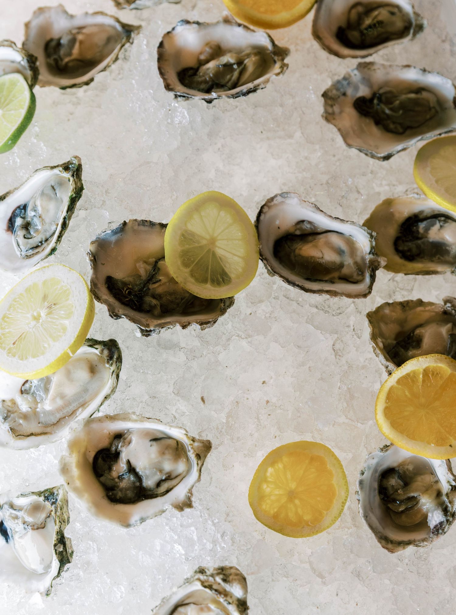 Fresh oysters on ice with lemon slices arranged in a pattern on a white textured surface.