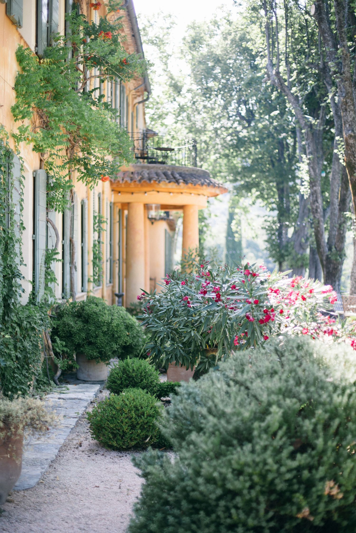 Charming garden pathway alongside yellow french villa with blooming flowers and manicured shrubs.