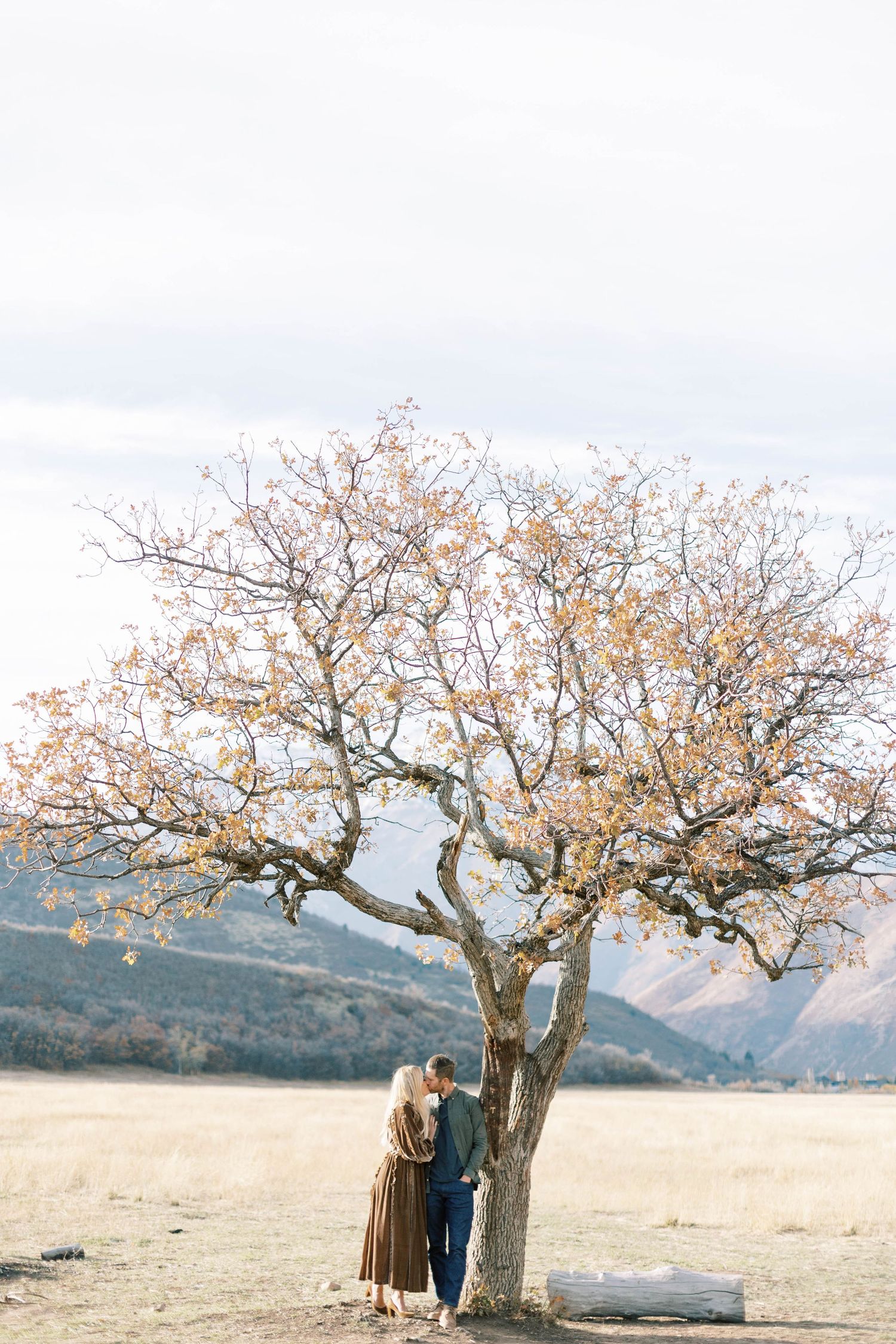 Couple embraces beneath flowering tree with mountains in background.