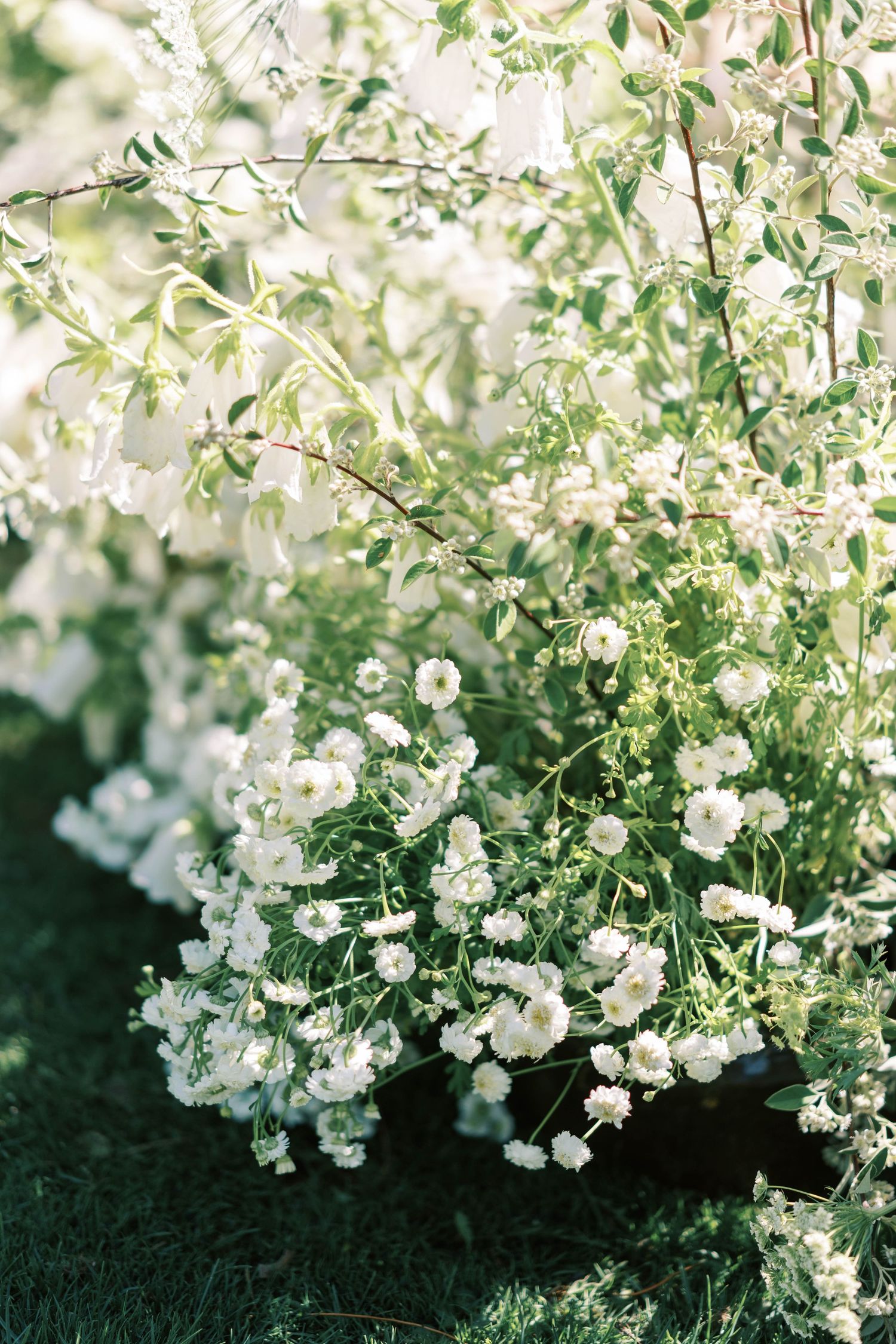 Delicate white flowers and greenery create a romantic garden display.