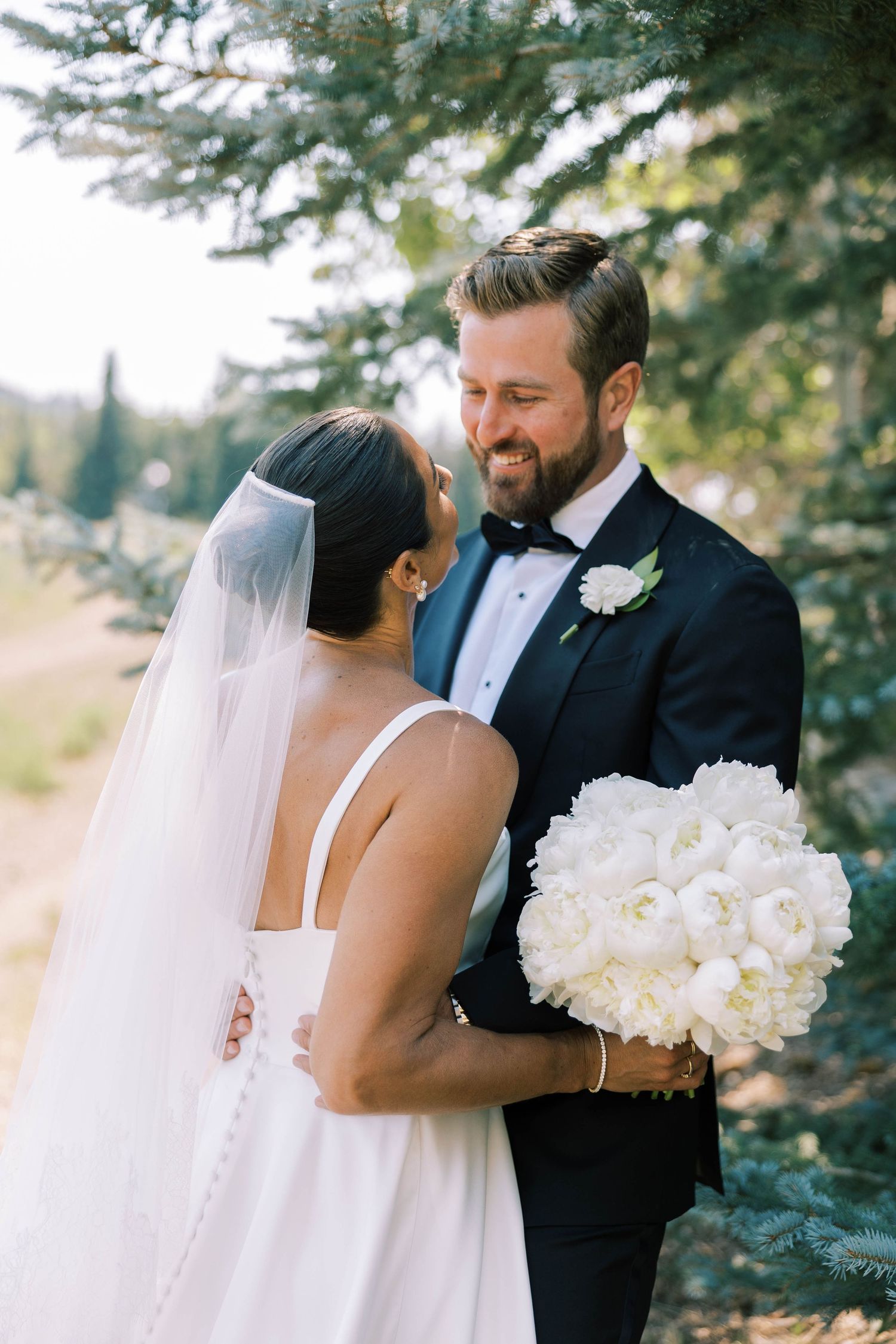 A romantic wedding moment captured in a series of photos showing the couple embracing among evergreen trees.