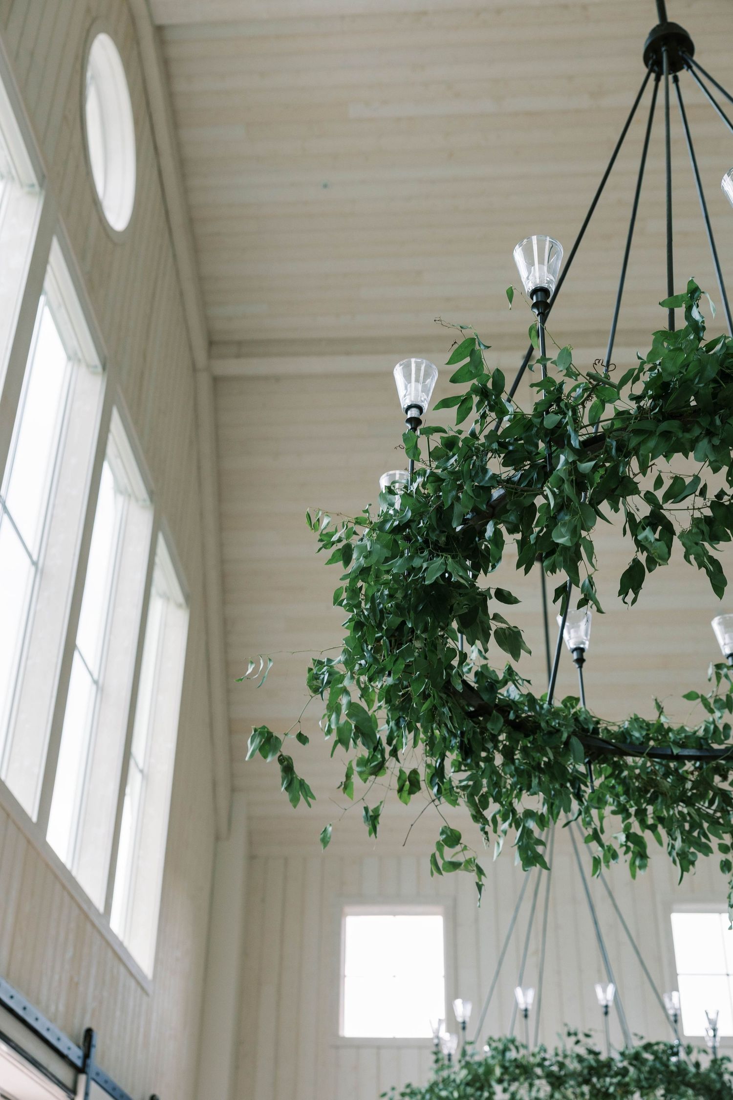 A hanging light fixture adorned with lush green plants beneath high white ceilings with arched windows.