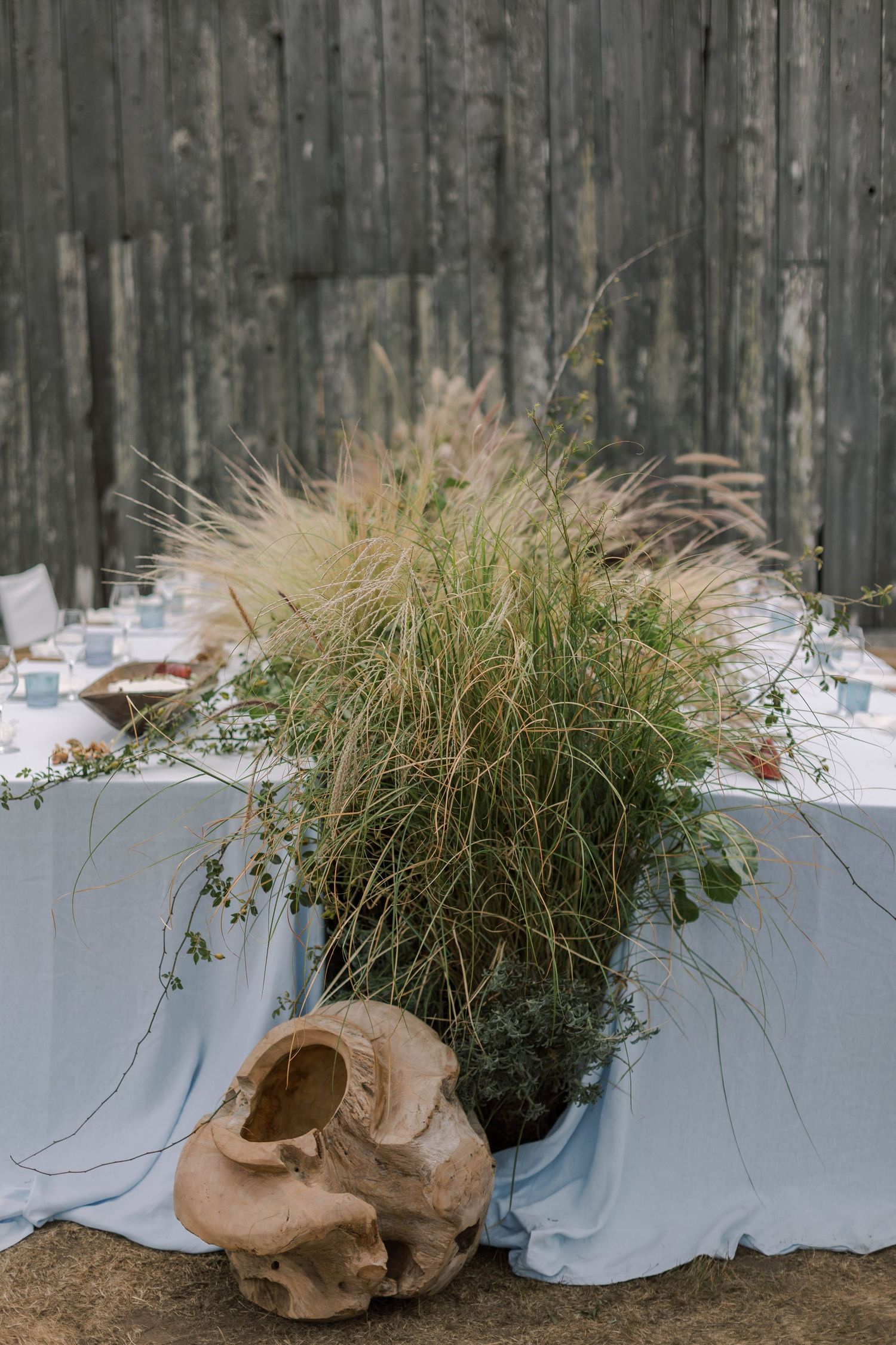 Three potted plants with tall grass growing in rustic burlap sacks arranged against a wooden wall.