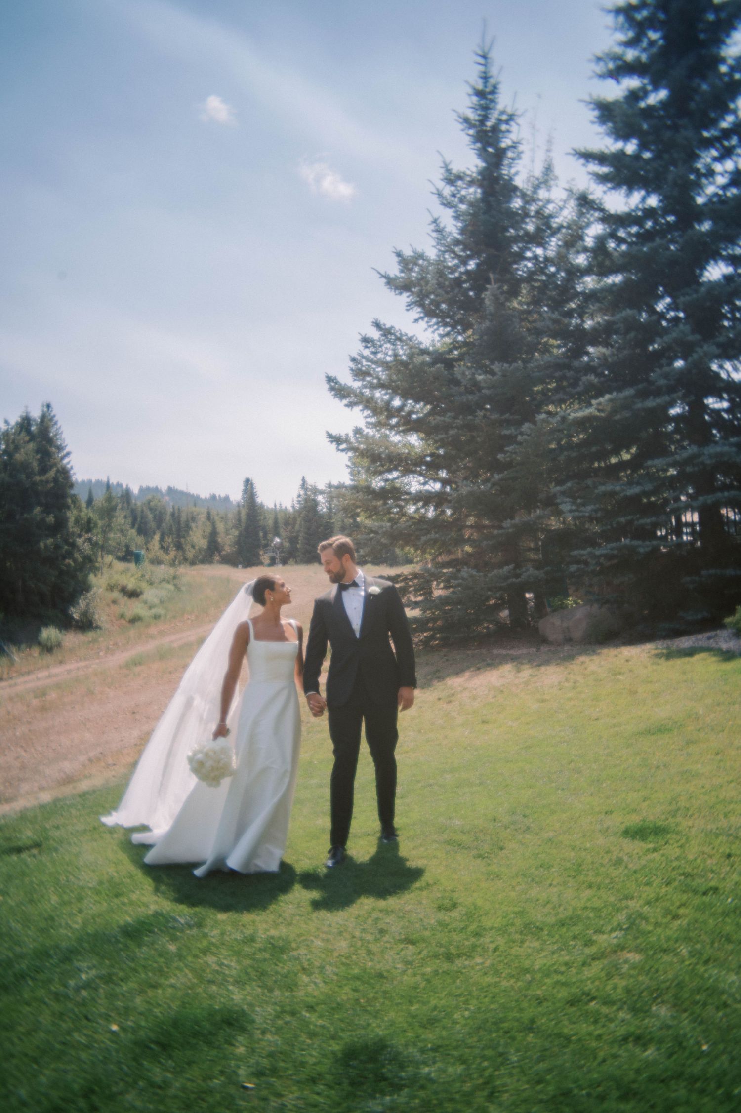 Outdoor wedding scene with couple on a green hillside surrounded by towering evergreen trees.
