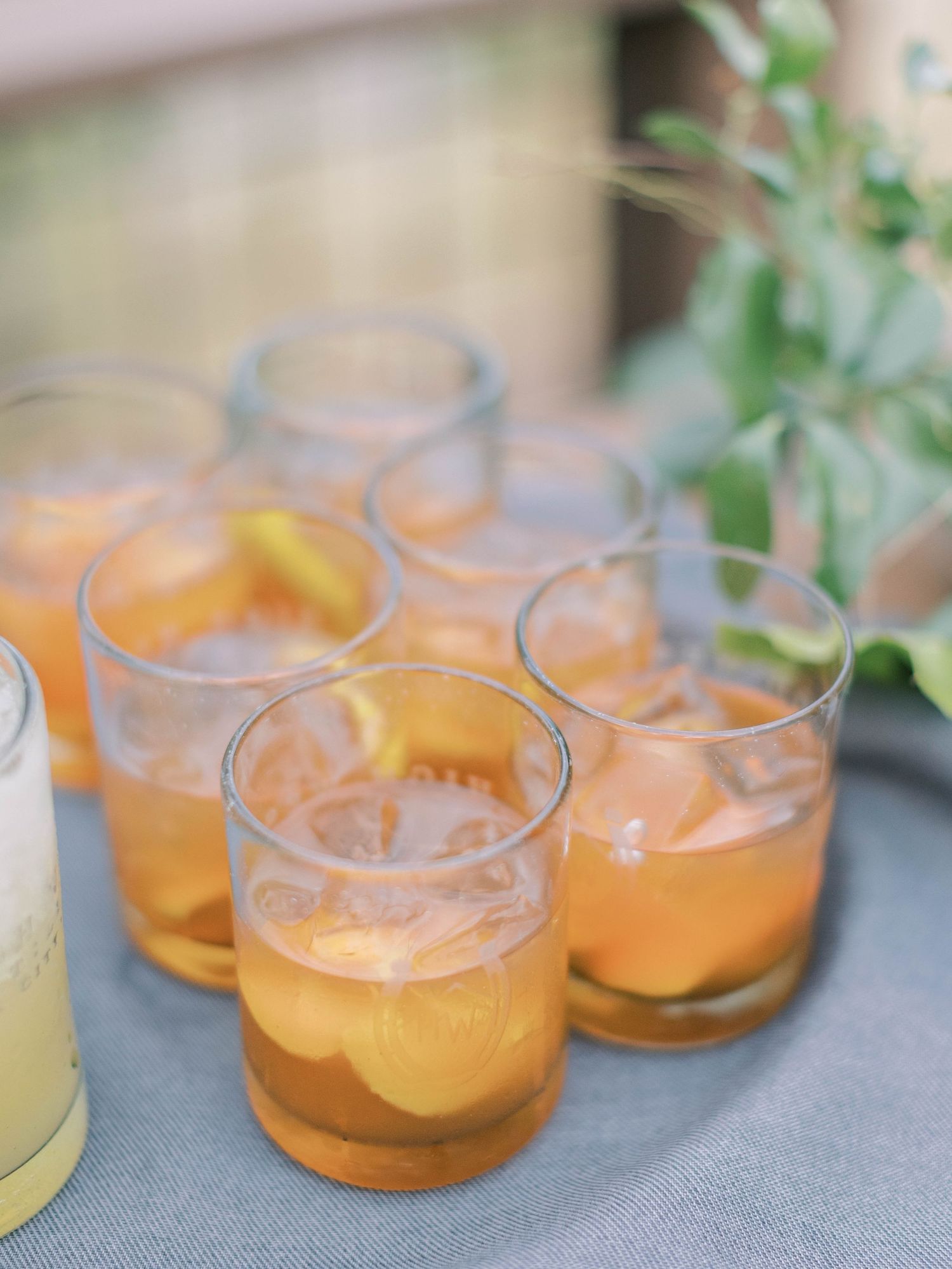 Orange cocktails in glass cups arranged on a table with greenery in the background.