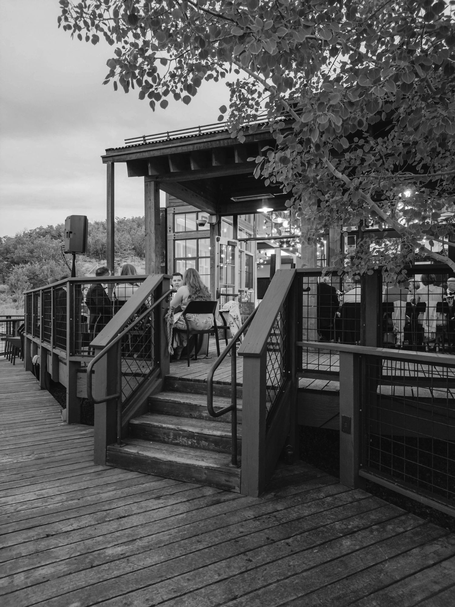 Black and white view of a modern wooden deck with dark railings overlooking a scenic mountain landscape.