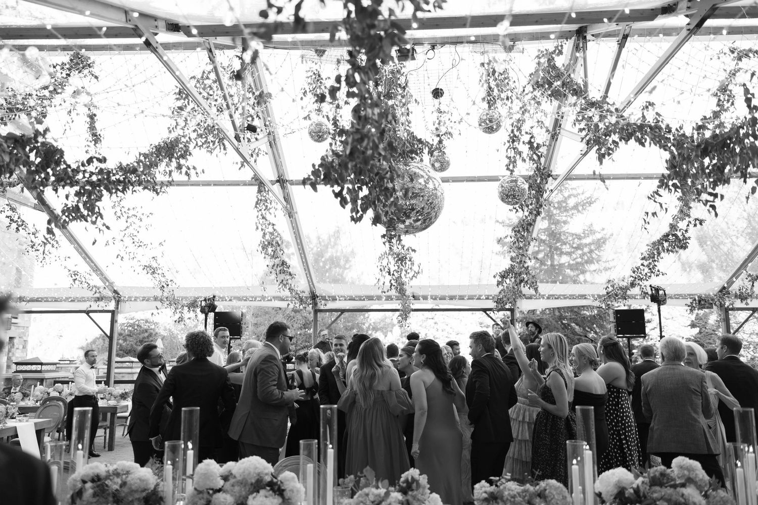 A crowd gathers under a clear tent decorated with hanging greenery during an outdoor event reception.